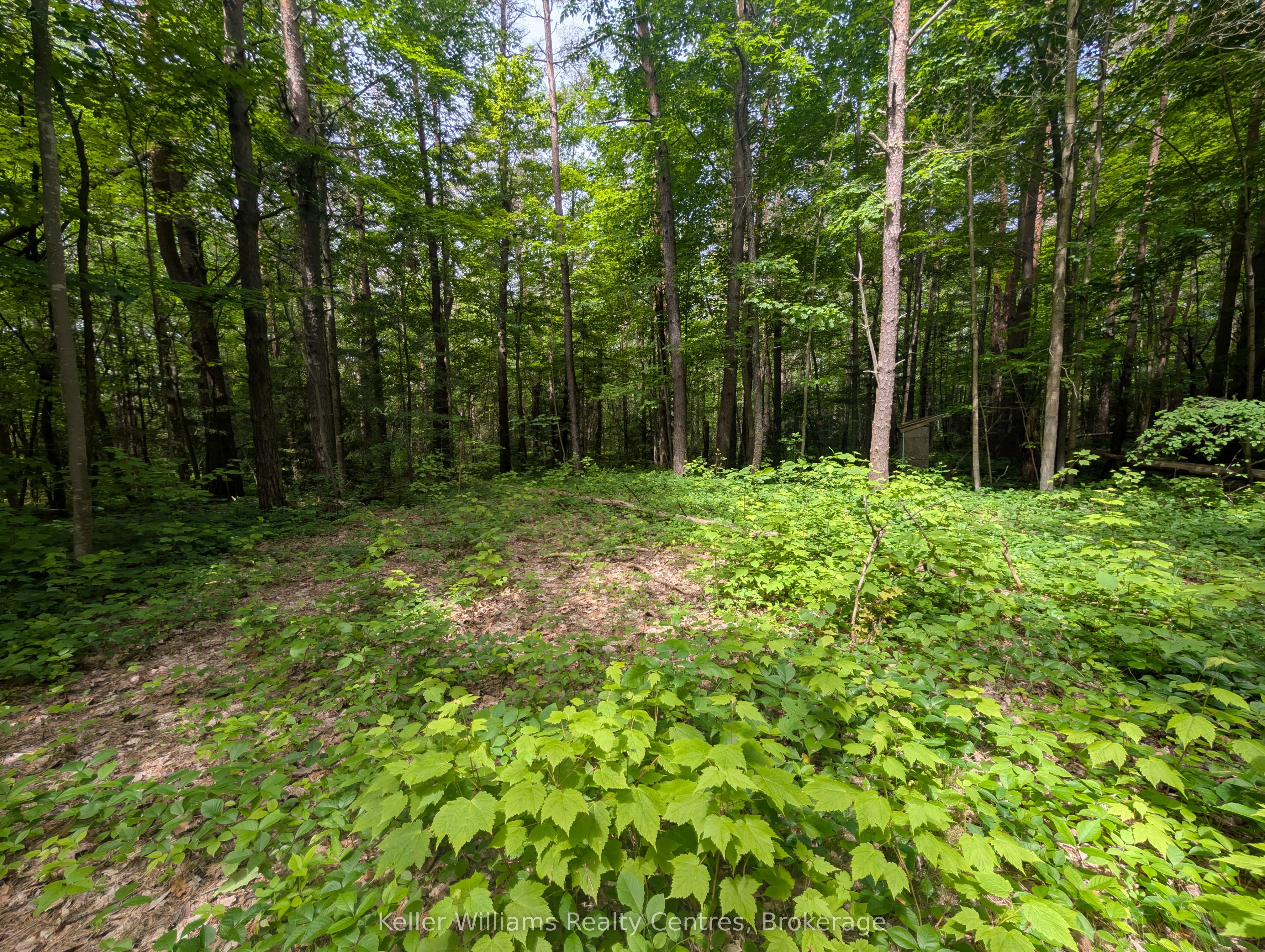 590-608 Huron Road Property Photo 15