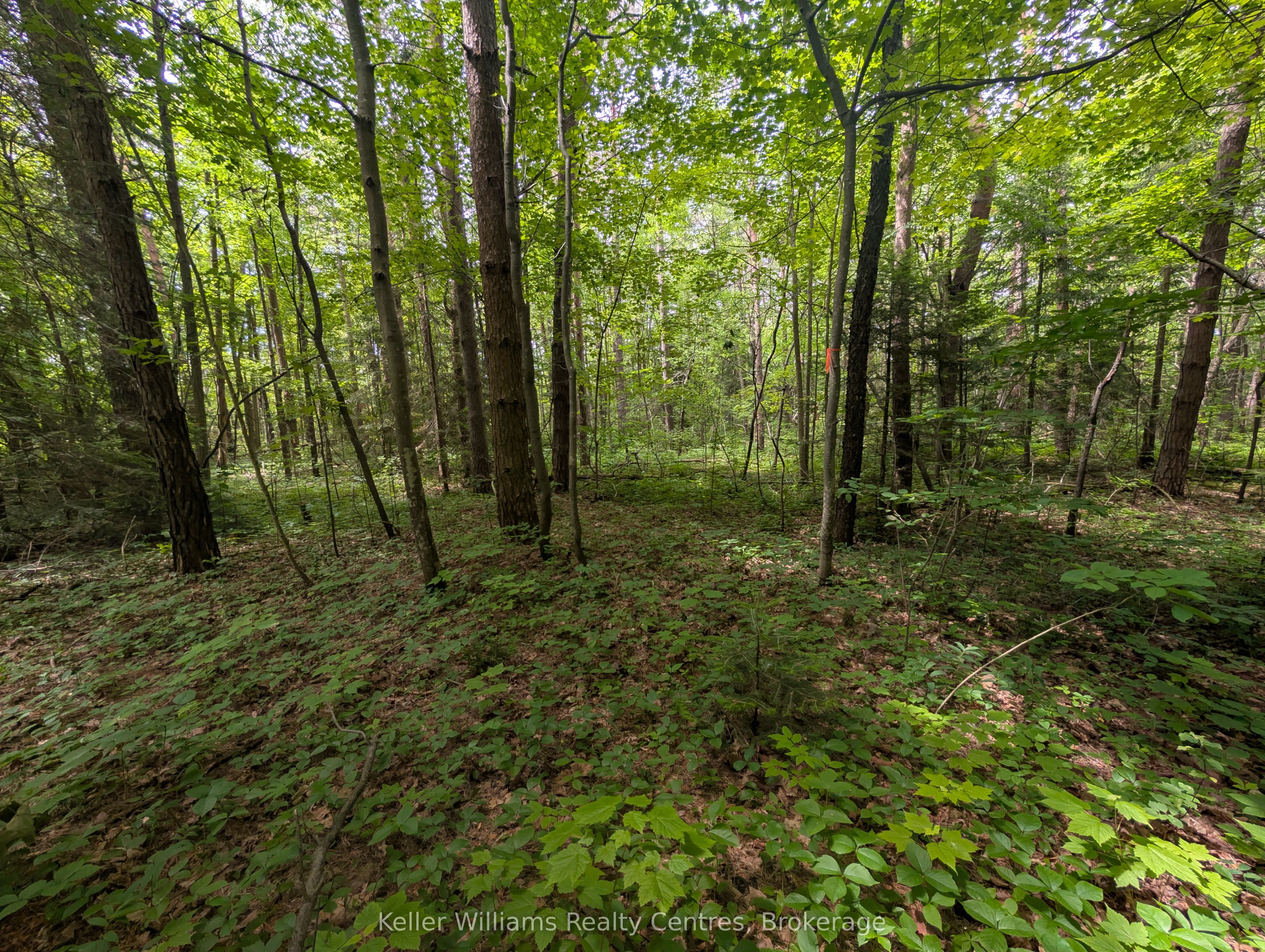 590-608 Huron Road Property Photo 16