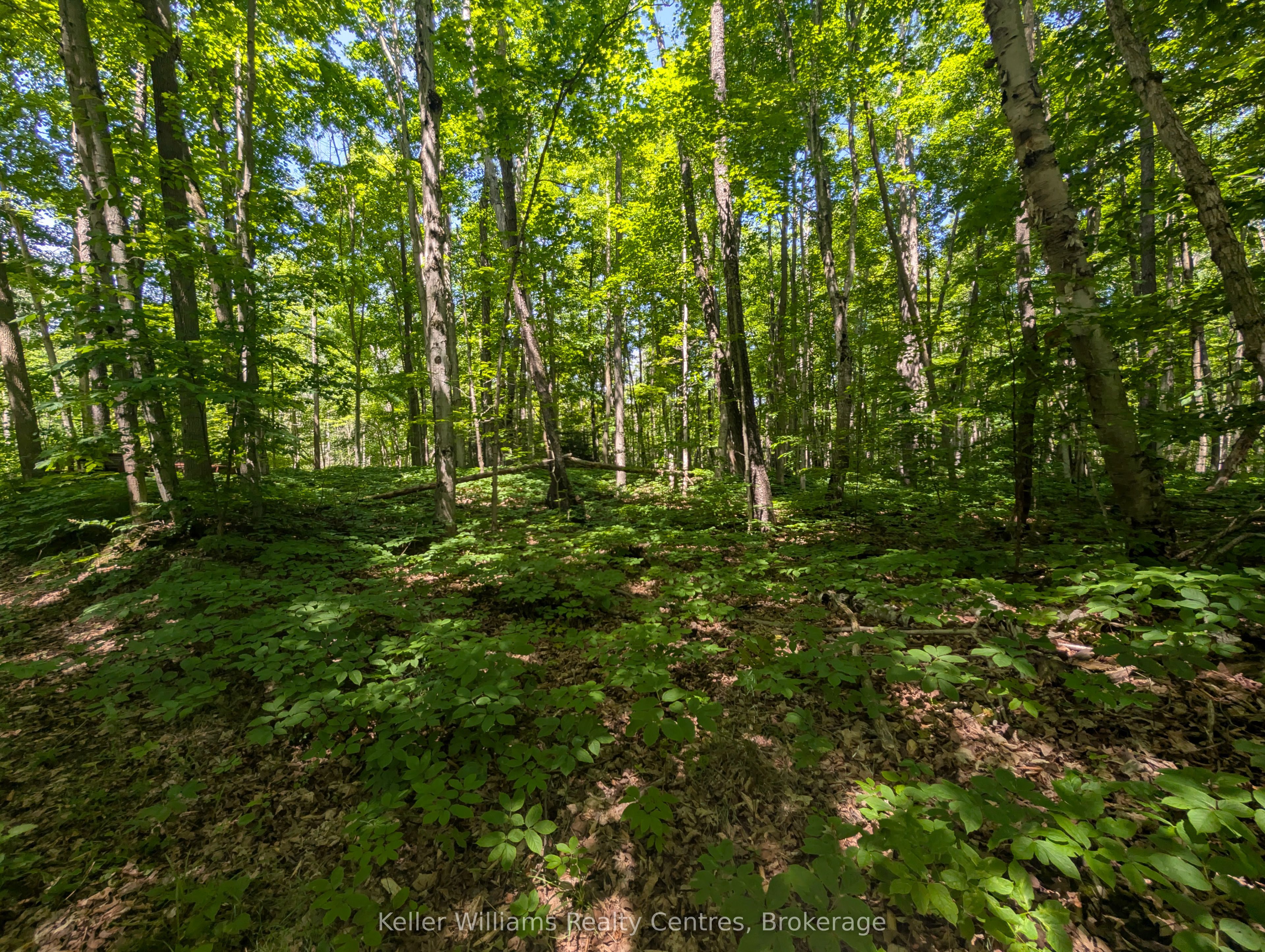 590-608 Huron Road Property Photo 17