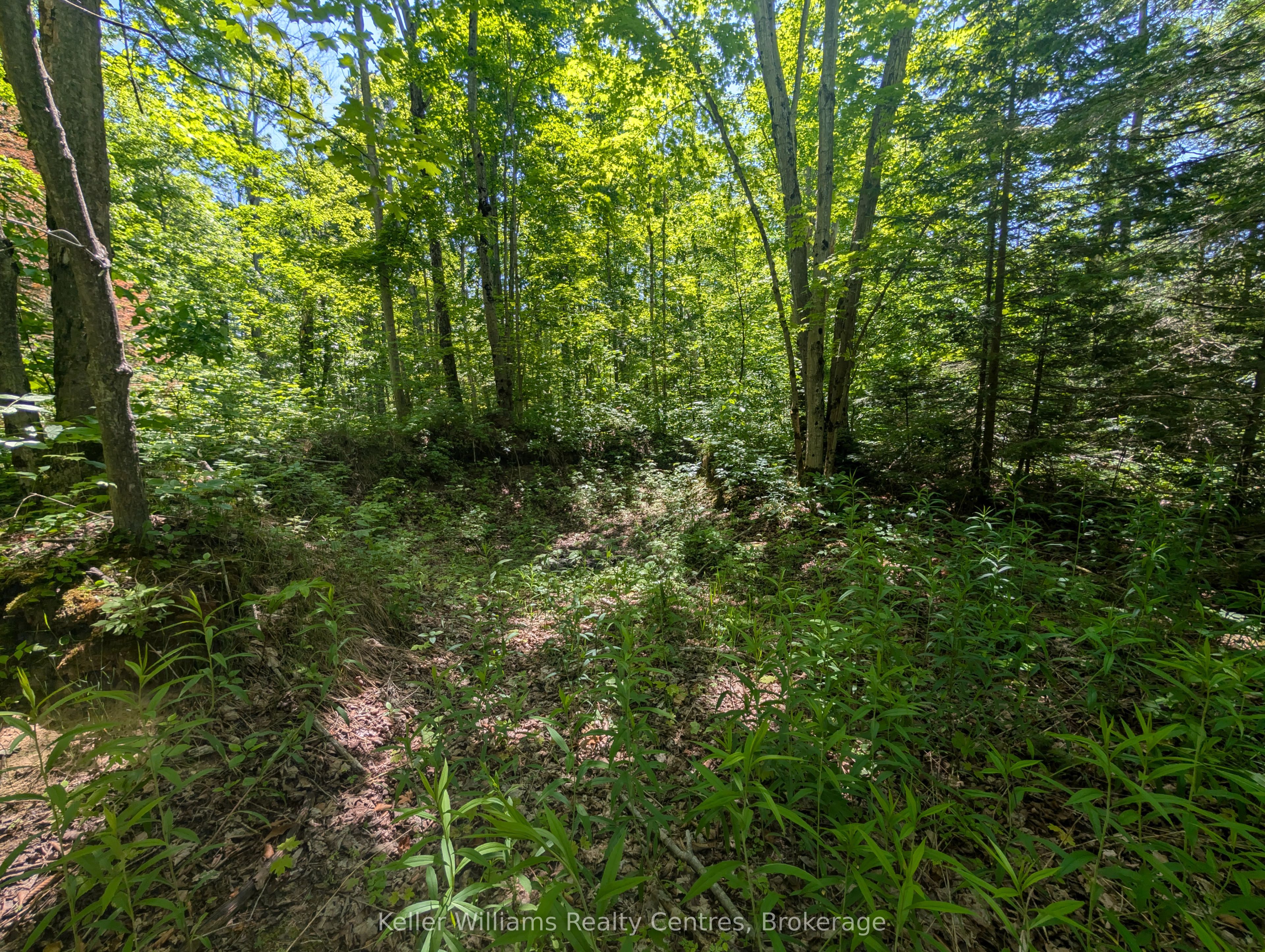 590-608 Huron Road Property Photo 18