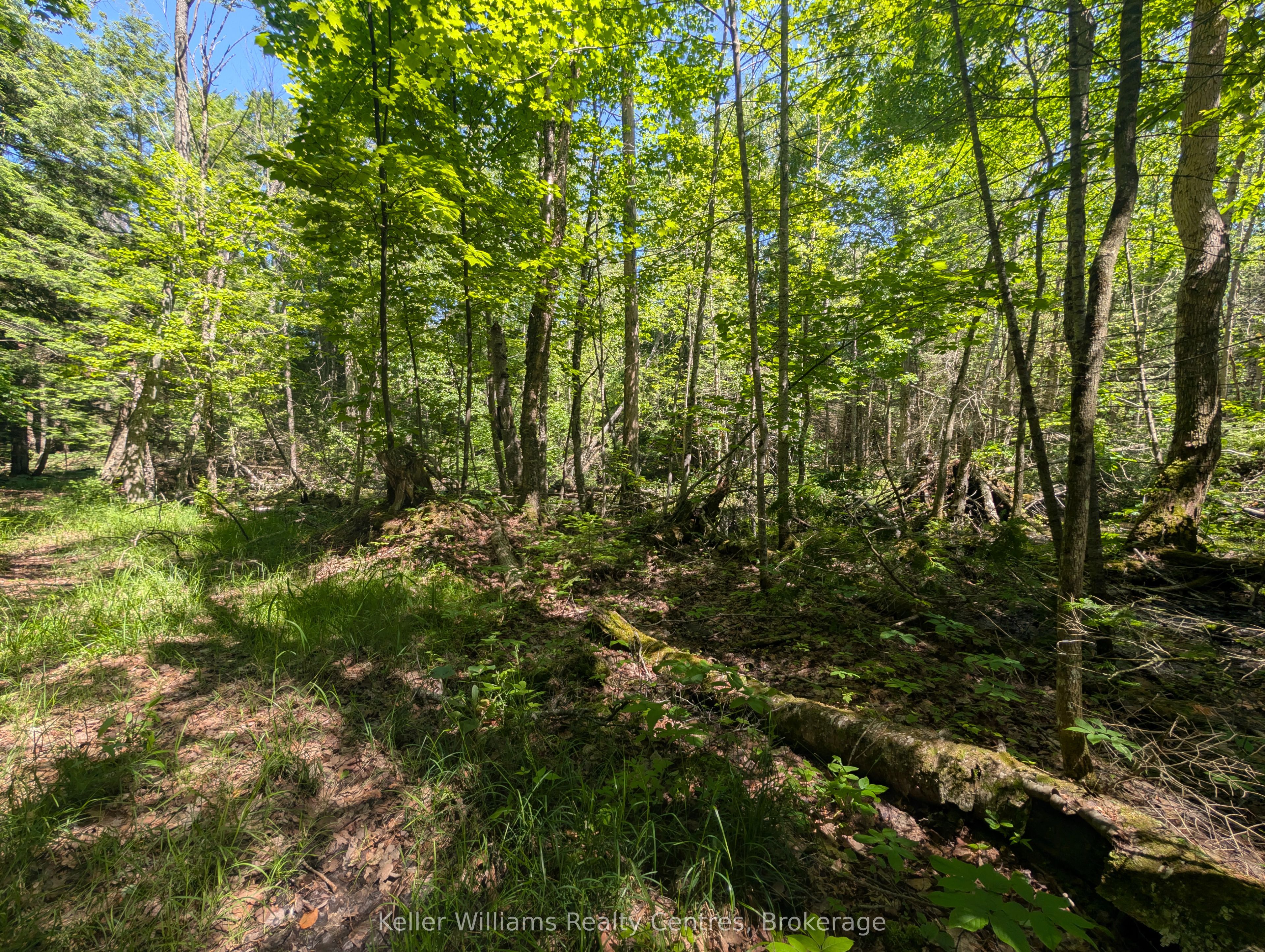 590-608 Huron Road Property Photo 20