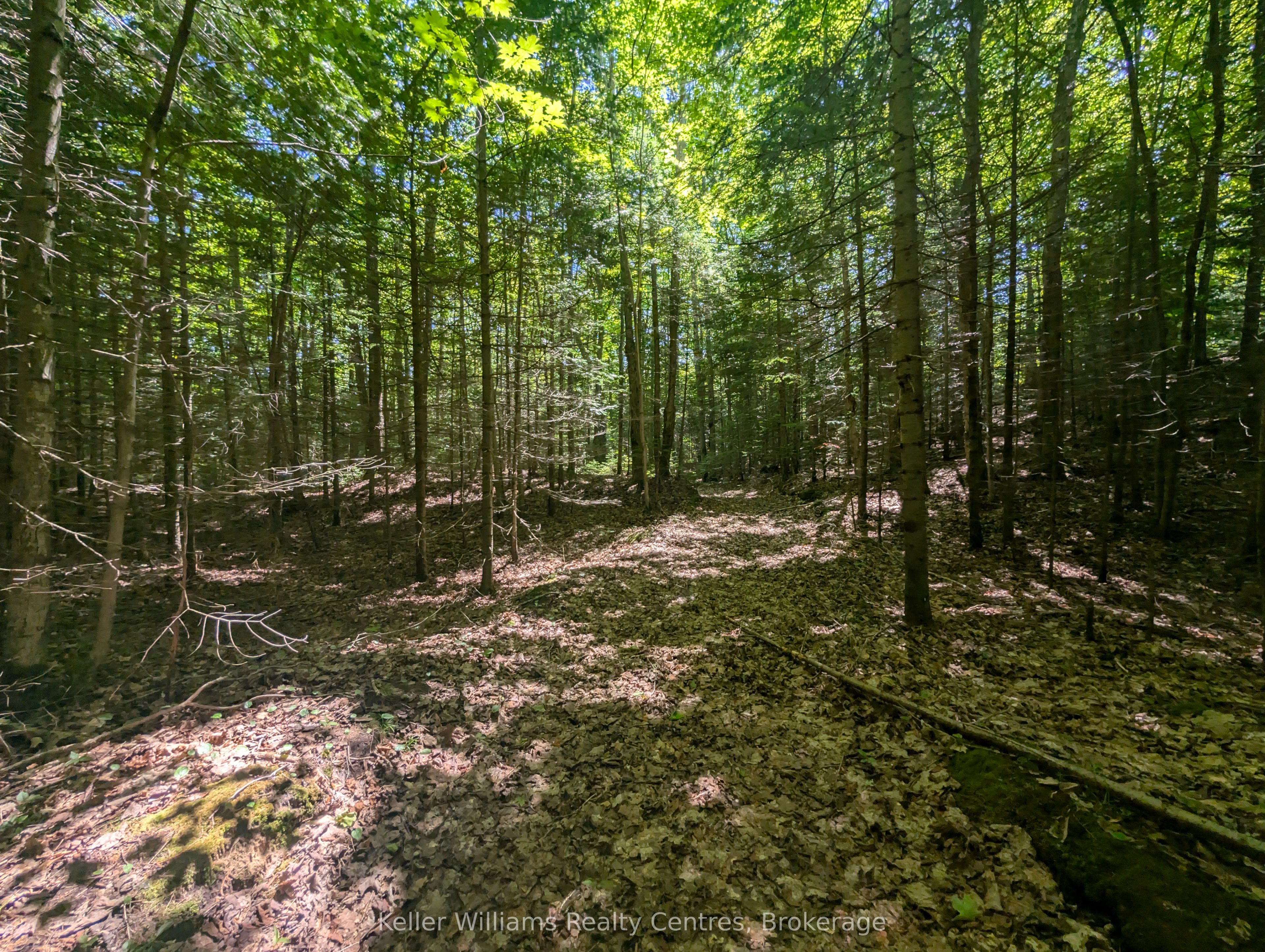 590-608 Huron Road Property Photo 21