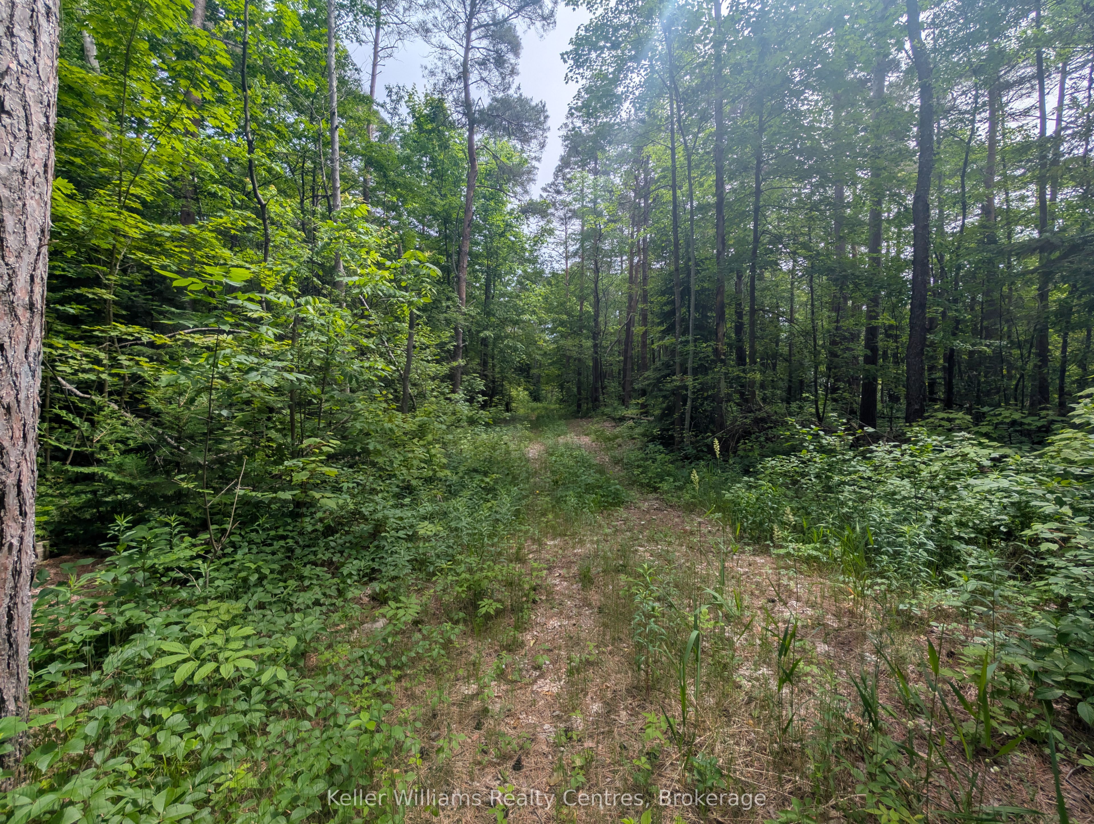 590-608 Huron Road Property Photo 22