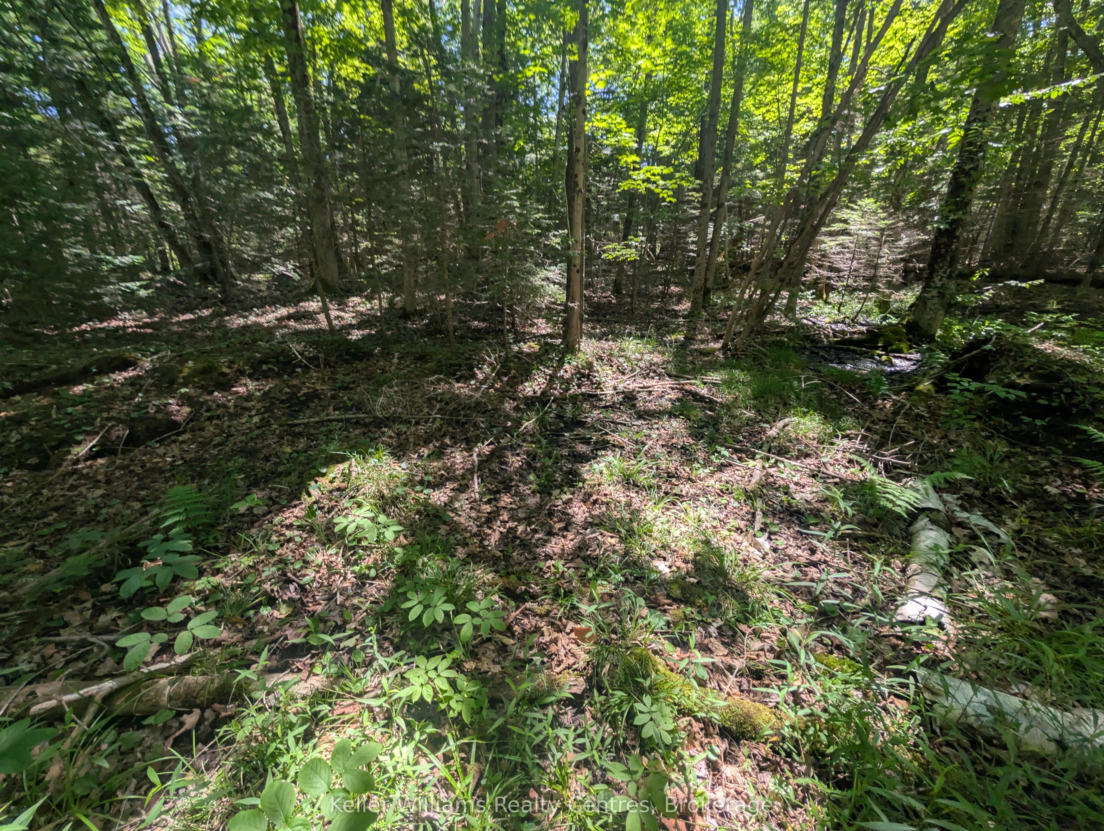 590-608 Huron Road Property Photo 26