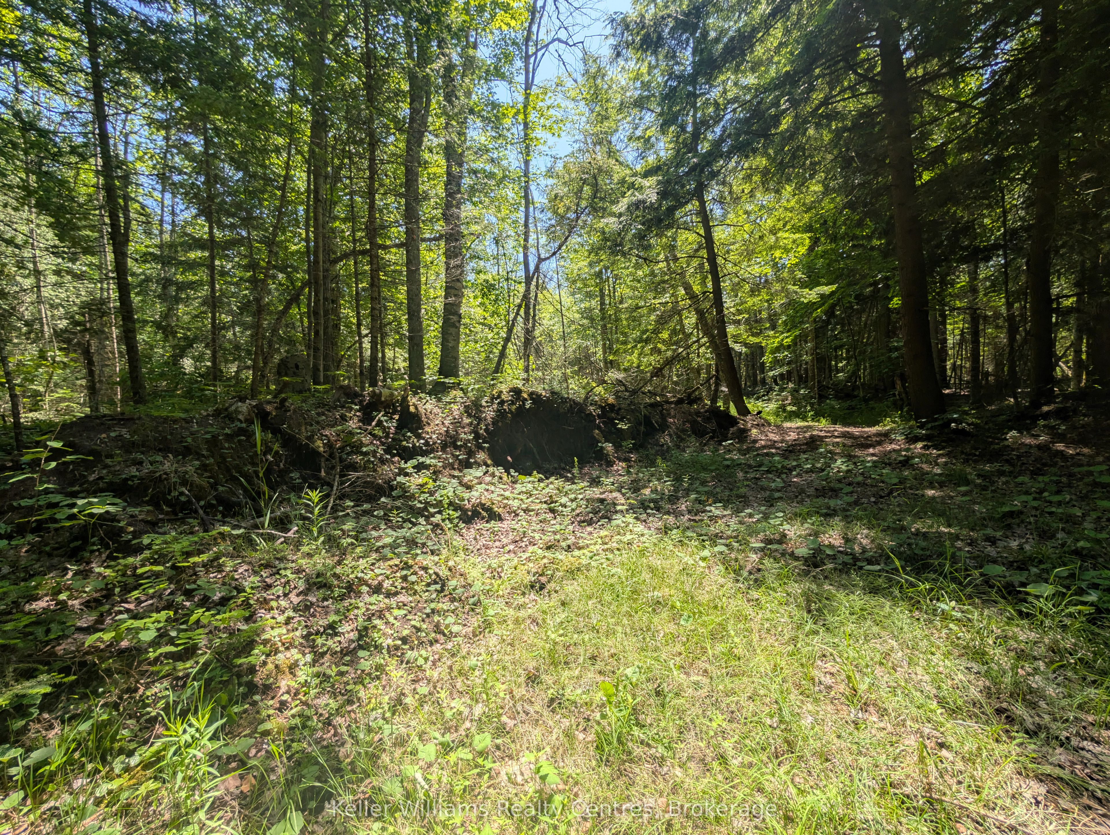 590-608 Huron Road Property Photo 27