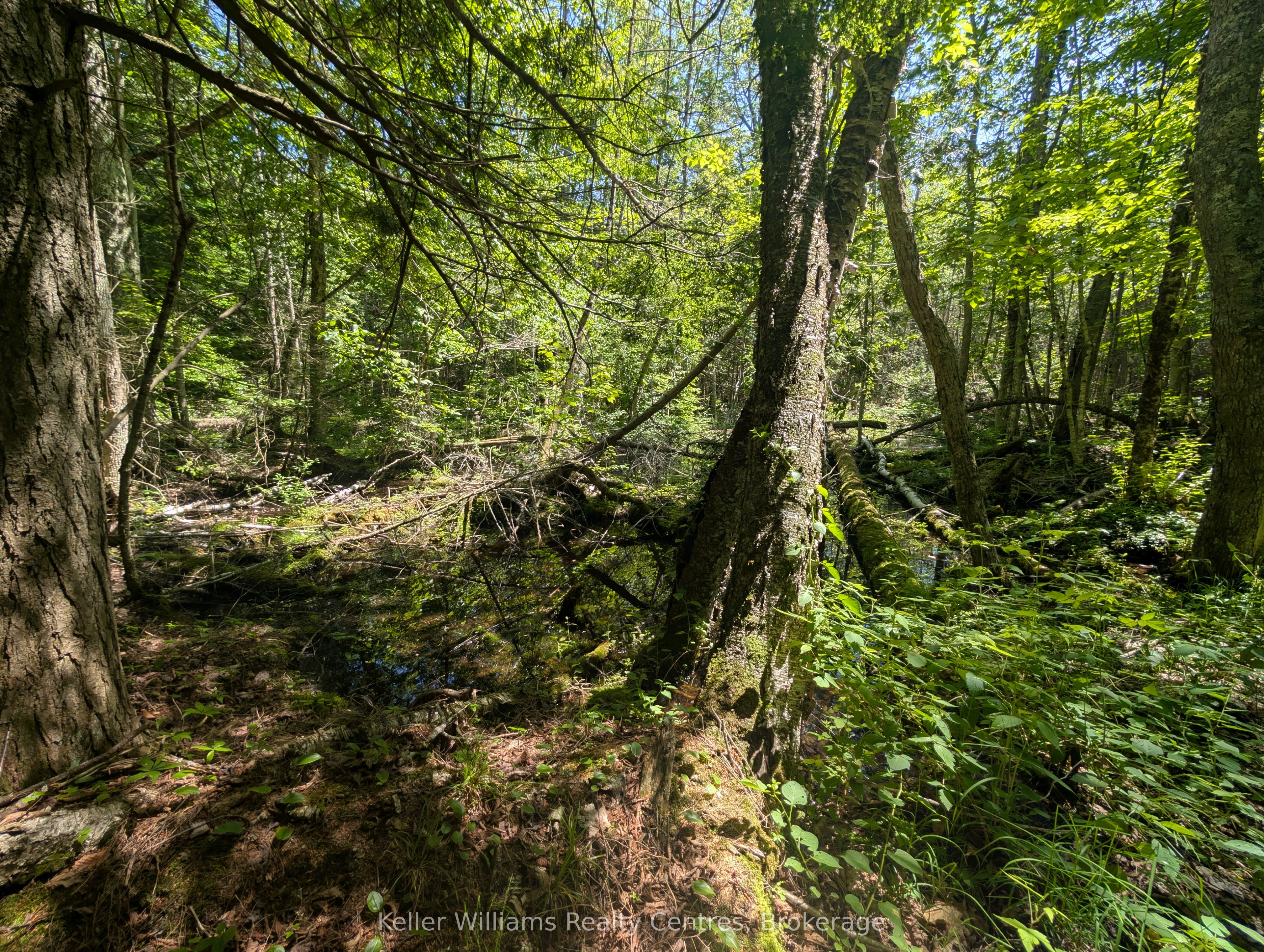 590-608 Huron Road Property Photo 28