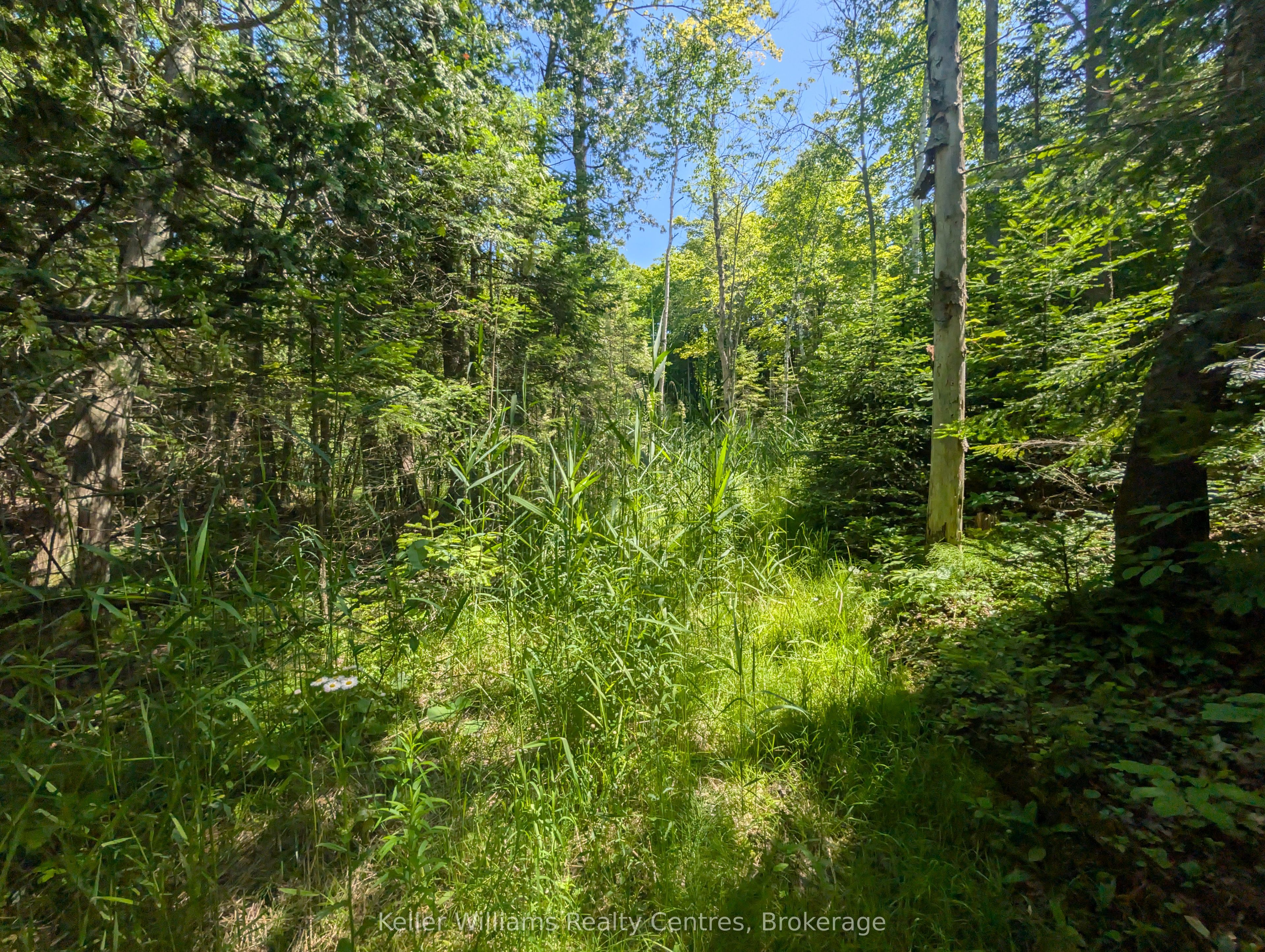 590-608 Huron Road Property Photo 30