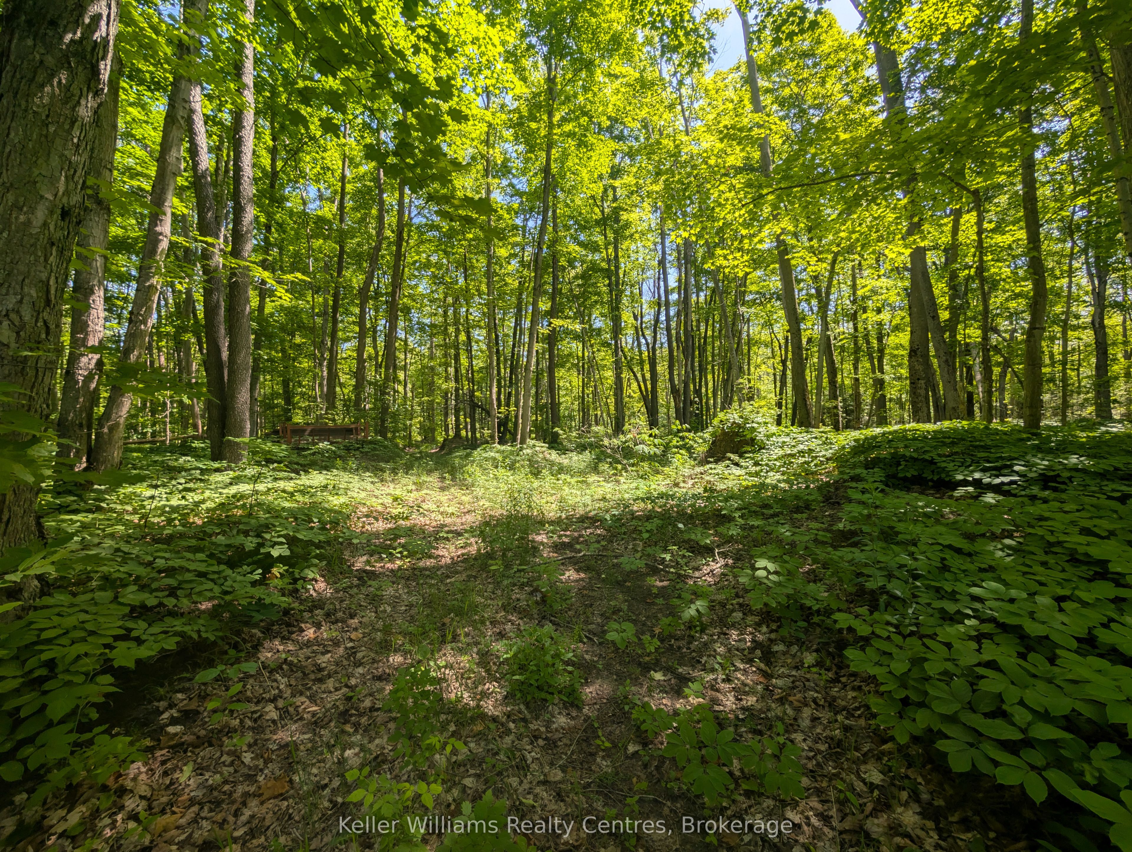 590-608 Huron Road Property Photo 33