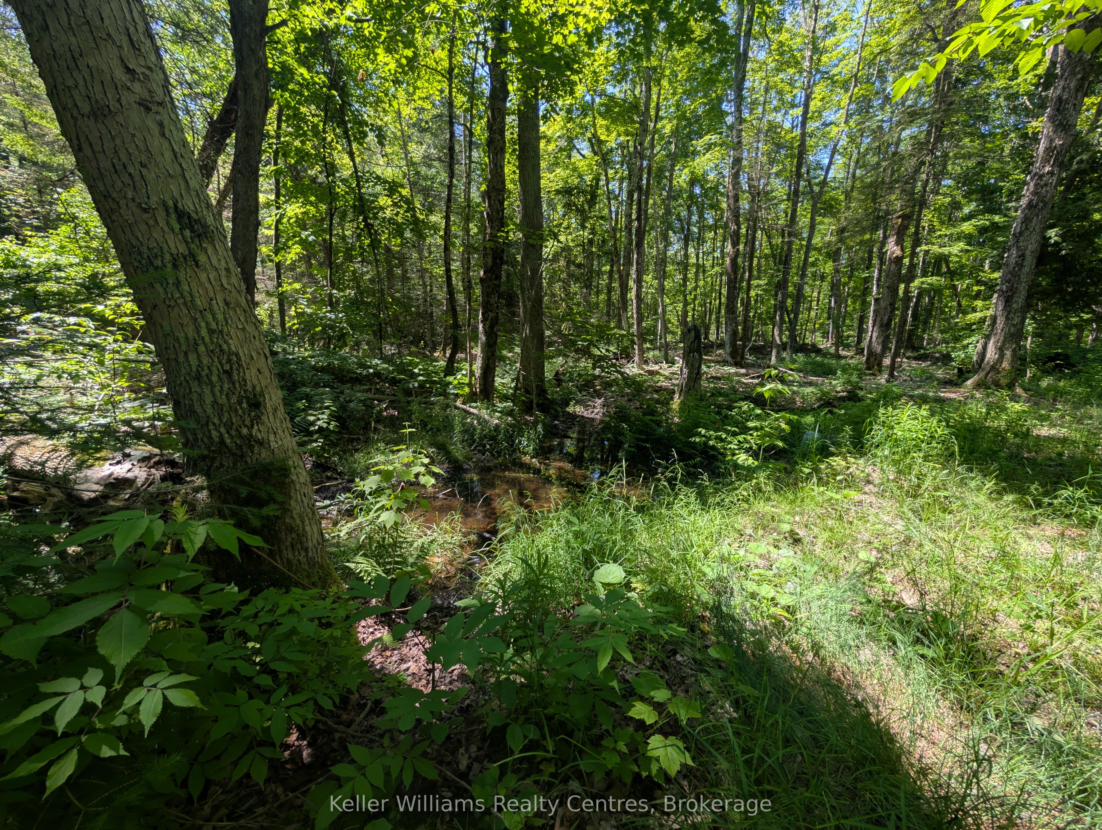 590-608 Huron Road Property Photo 36