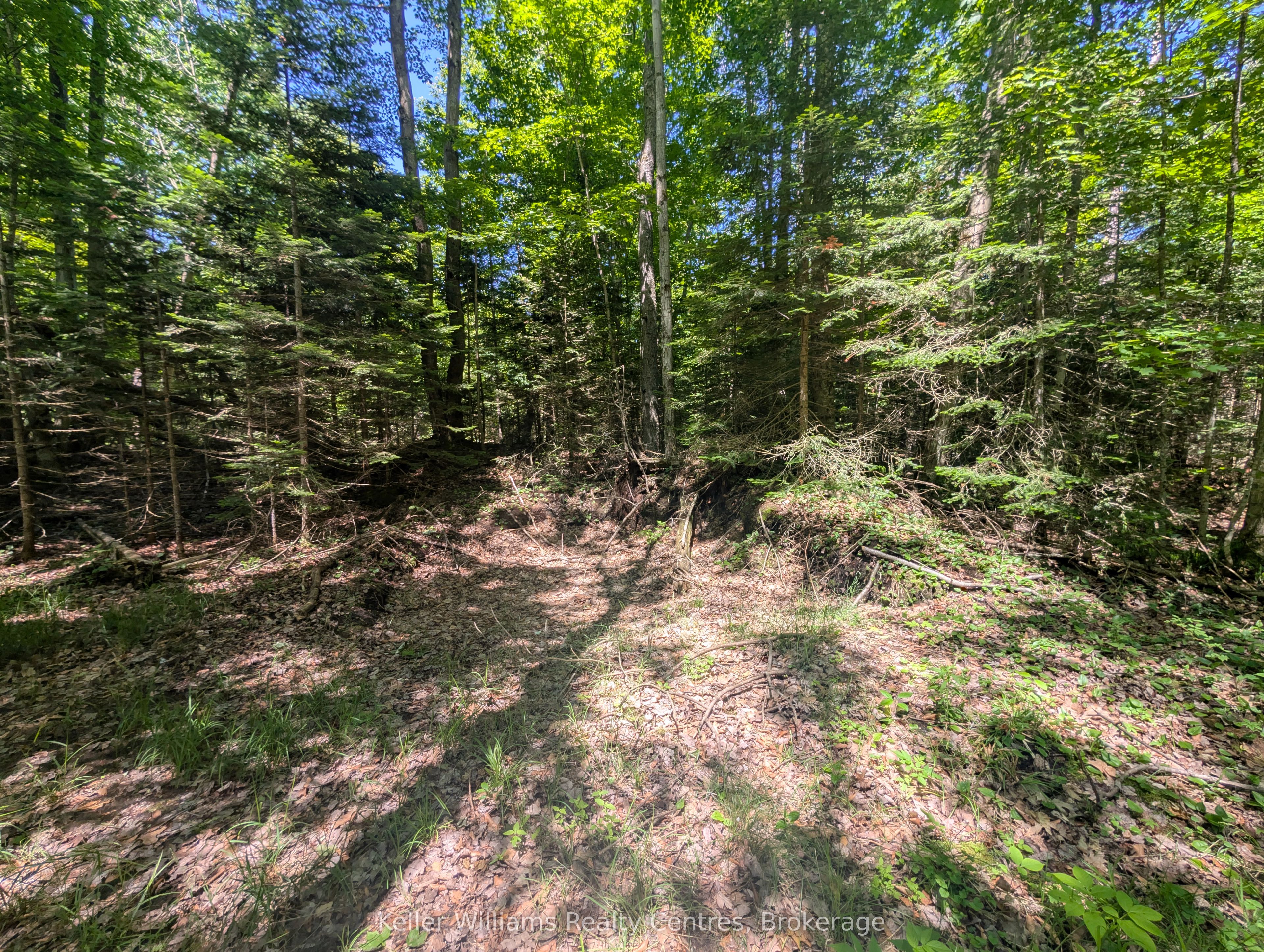 590-608 Huron Road Property Photo 37