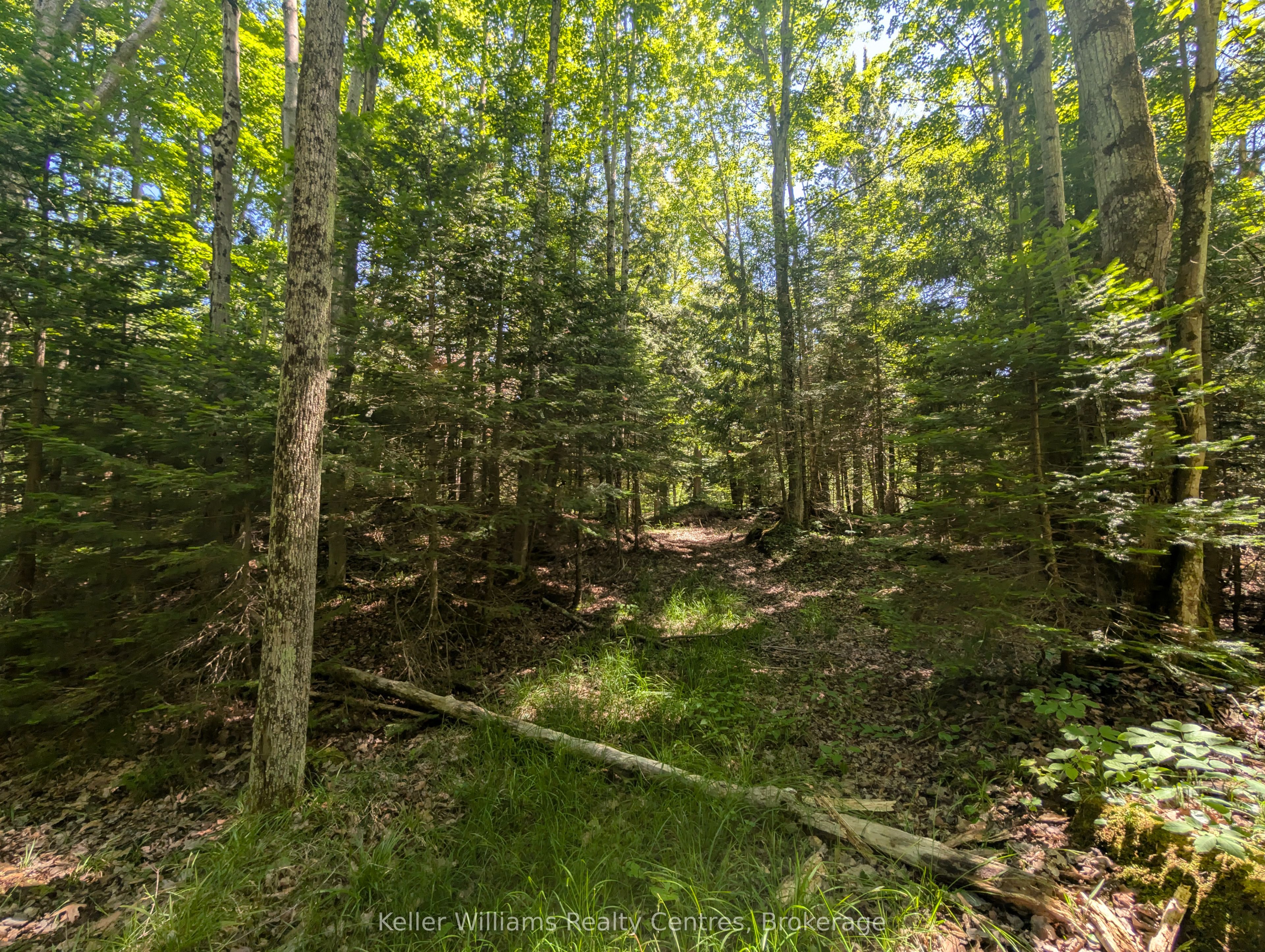 590-608 Huron Road Property Photo 38