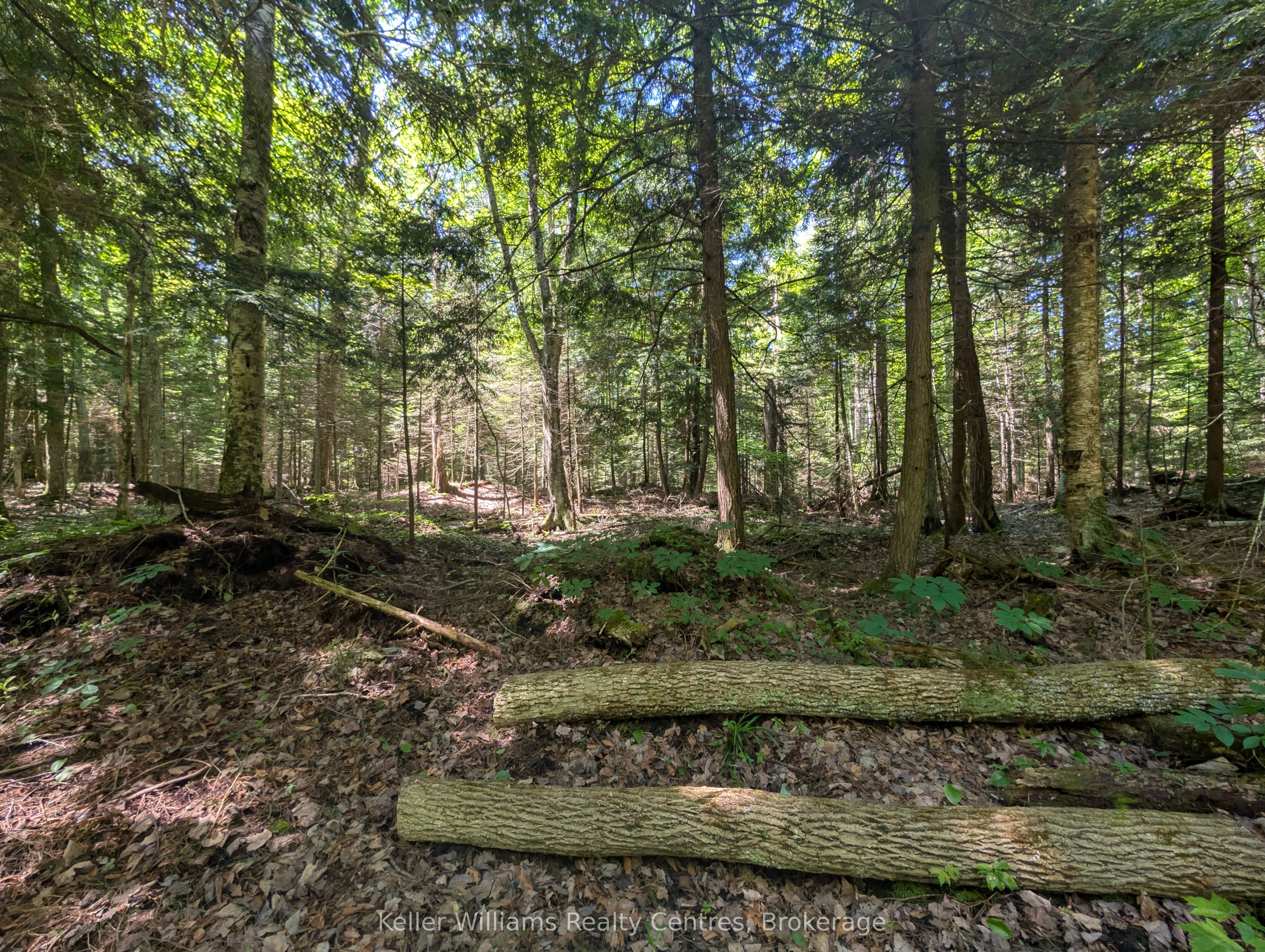 590-608 Huron Road Property Photo 39