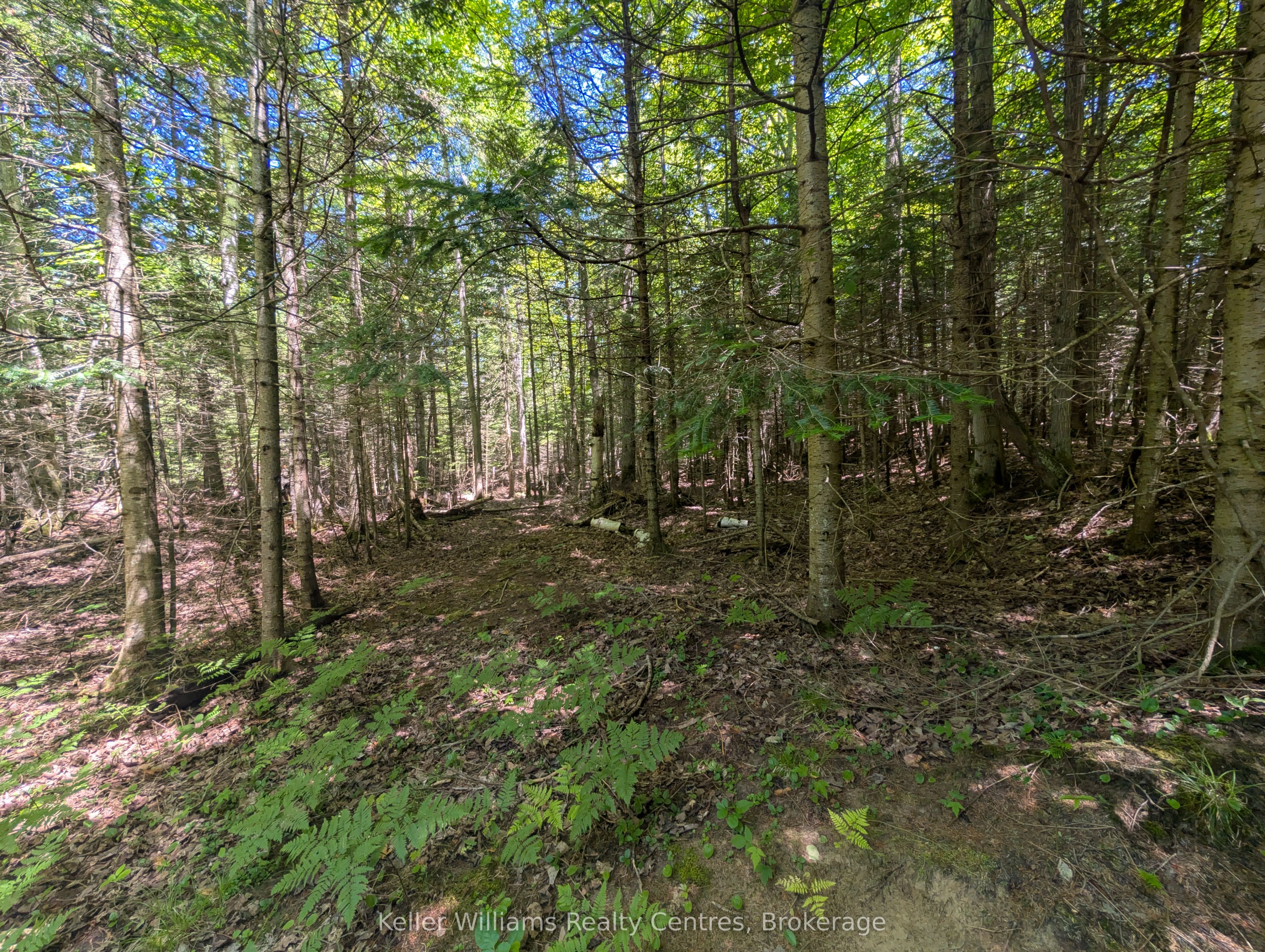 590-608 Huron Road Property Photo 41