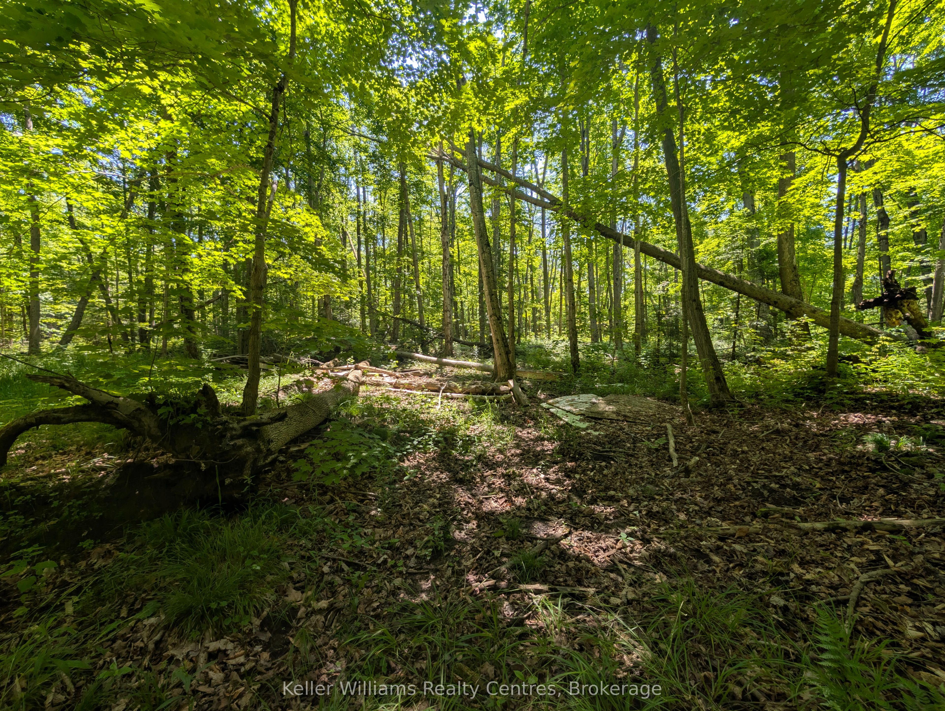 590-608 Huron Road Property Photo 44