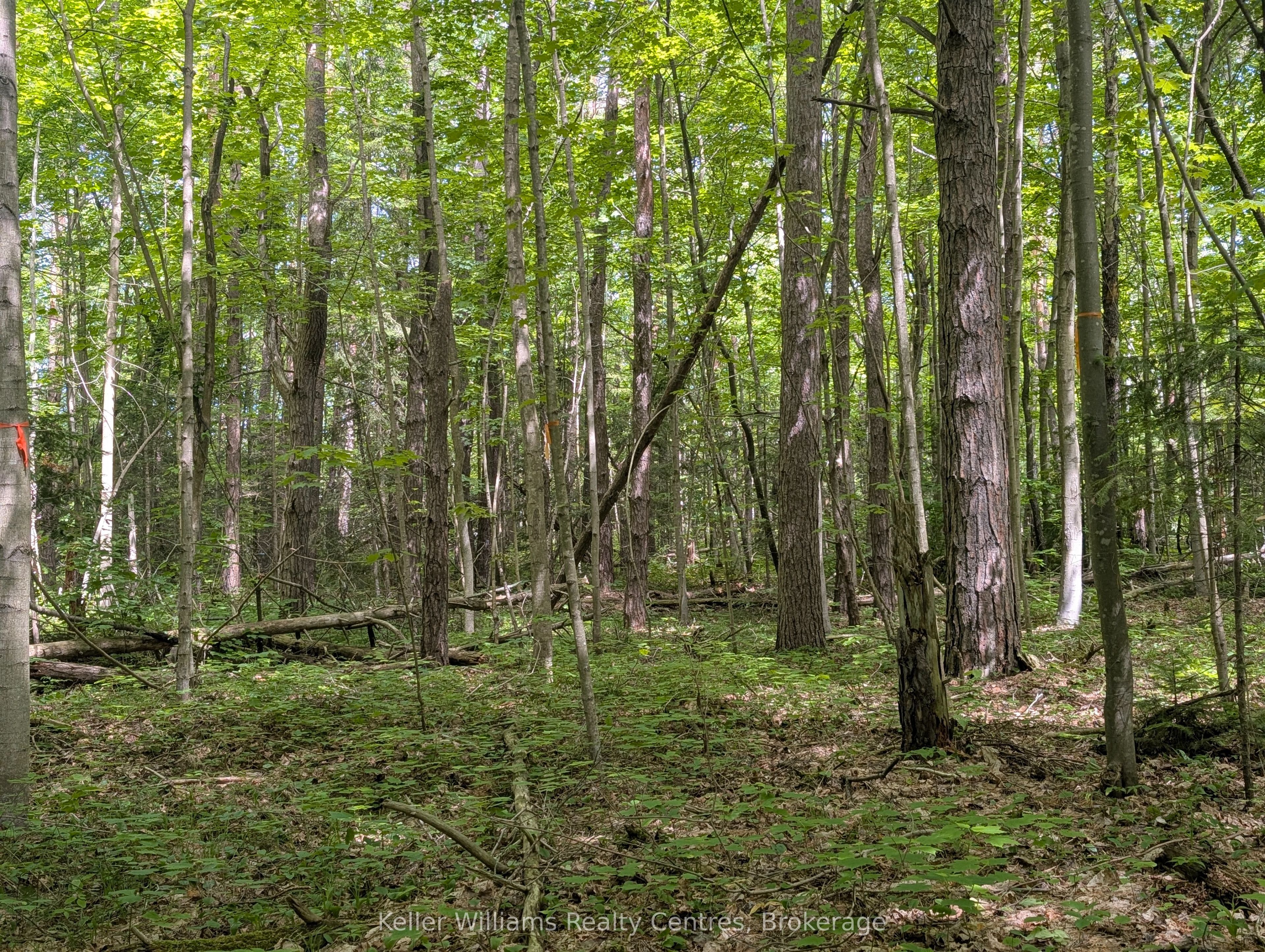 590-608 Huron Road Property Photo 45