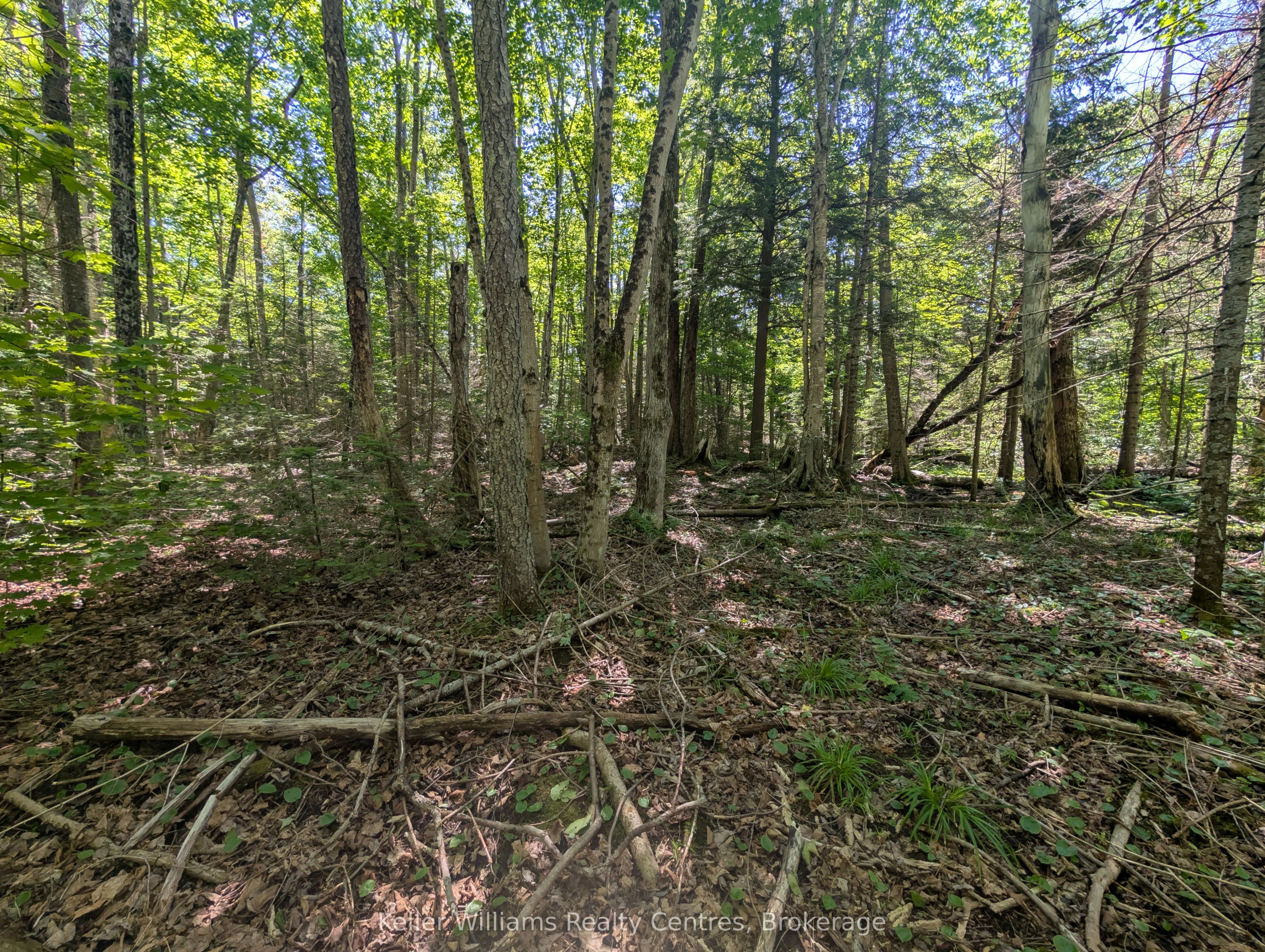 590-608 Huron Road Property Photo 46