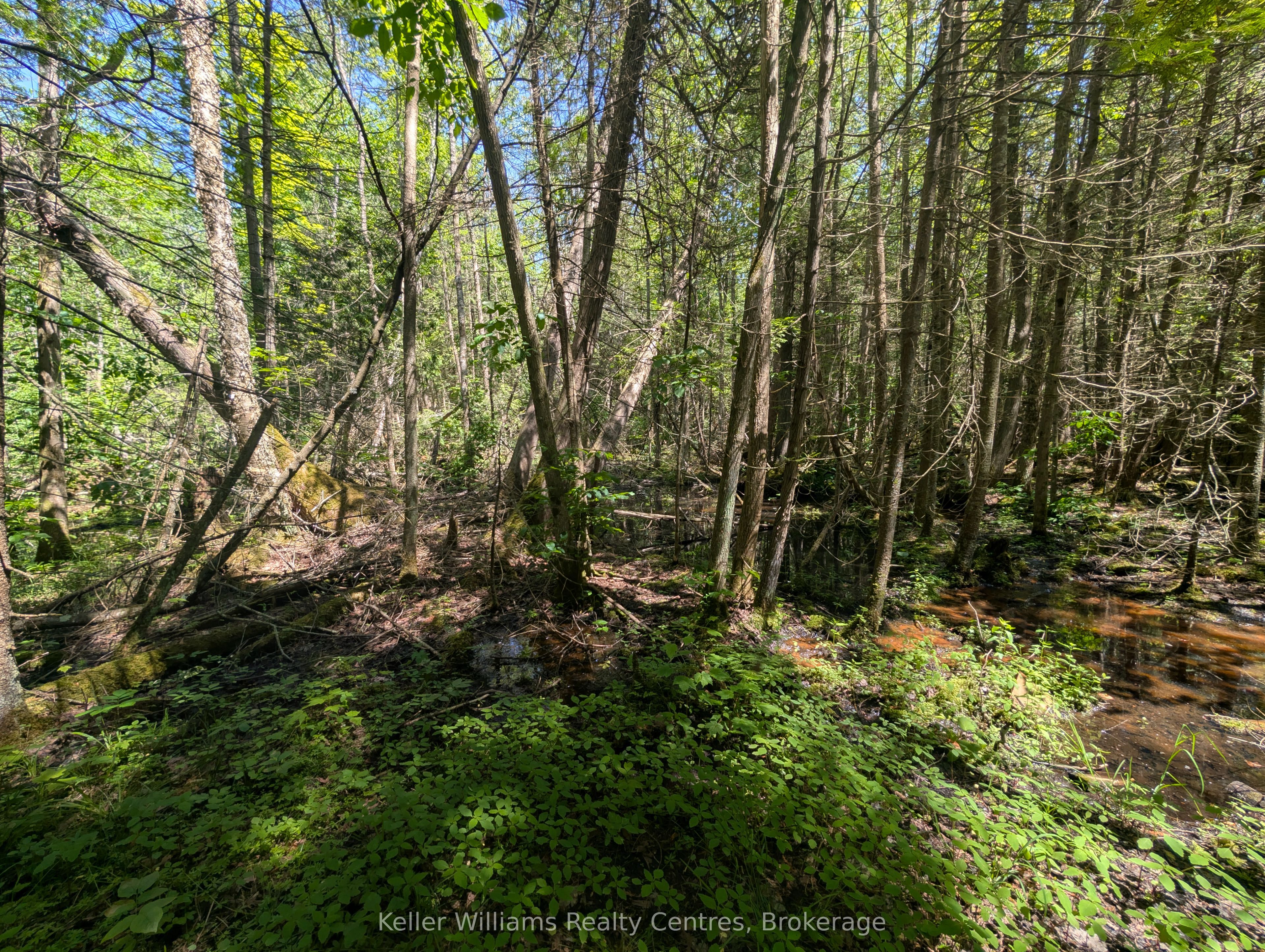 590-608 Huron Road Property Photo 47