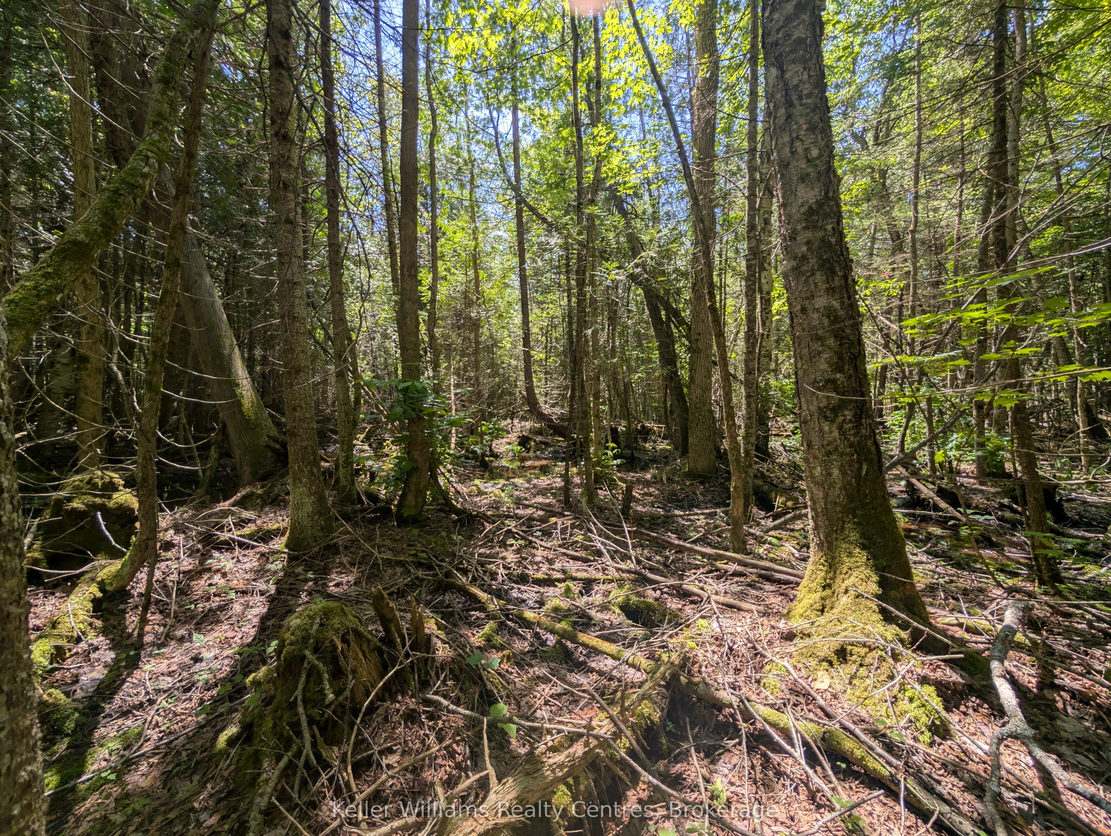 590-608 Huron Road Property Photo 48