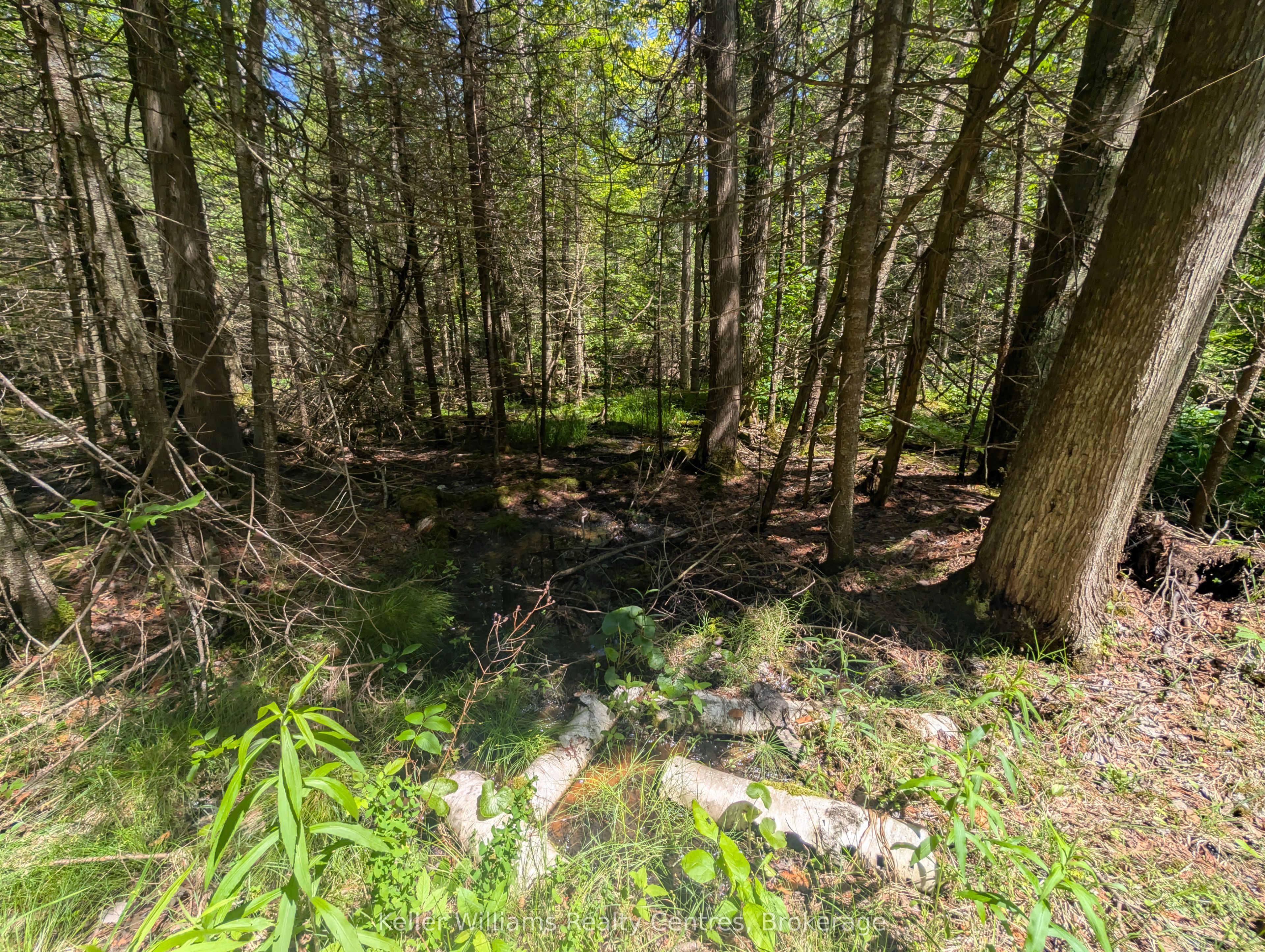 590-608 Huron Road Property Photo 49