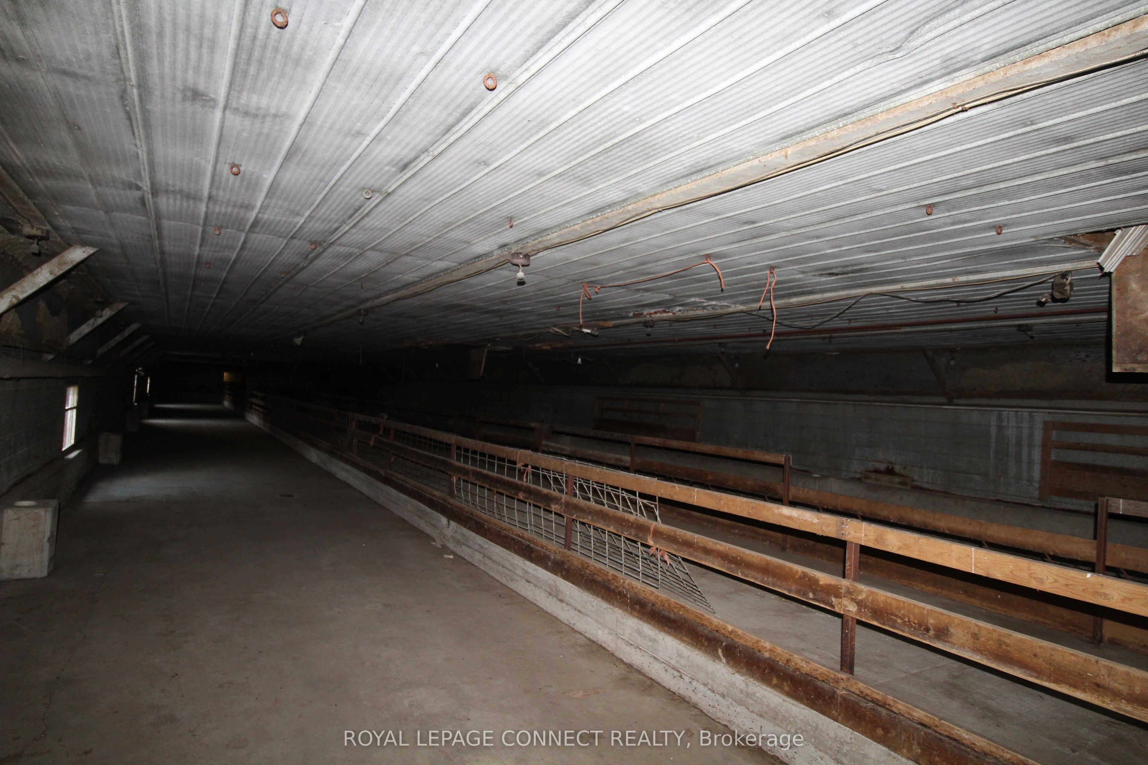 10748 Mcewen Drive ...barn Property Photo 5