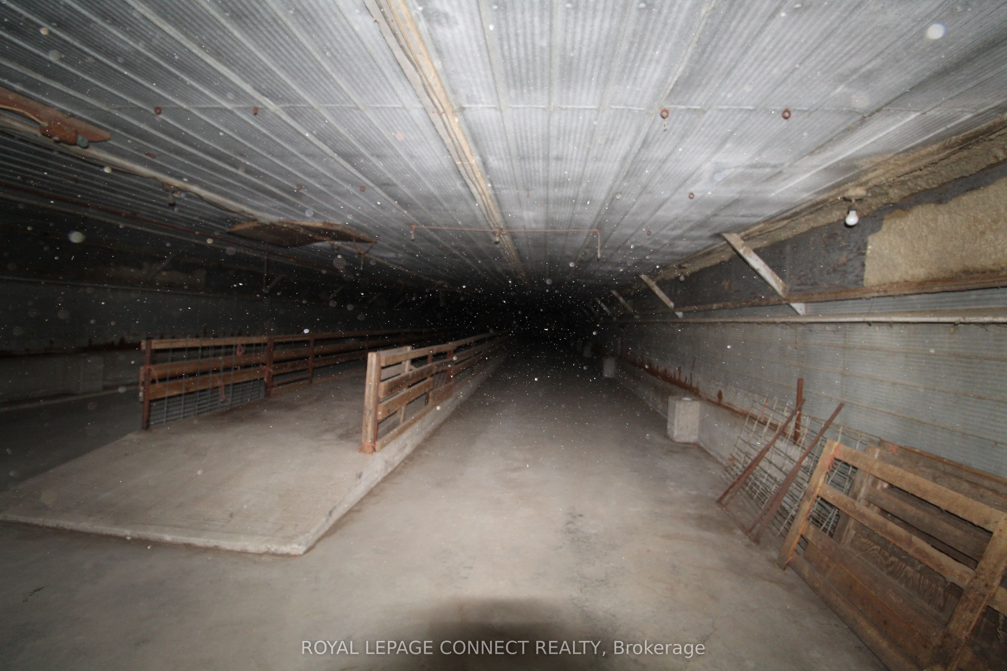 10748 Mcewen Drive ...barn Property Photo 19