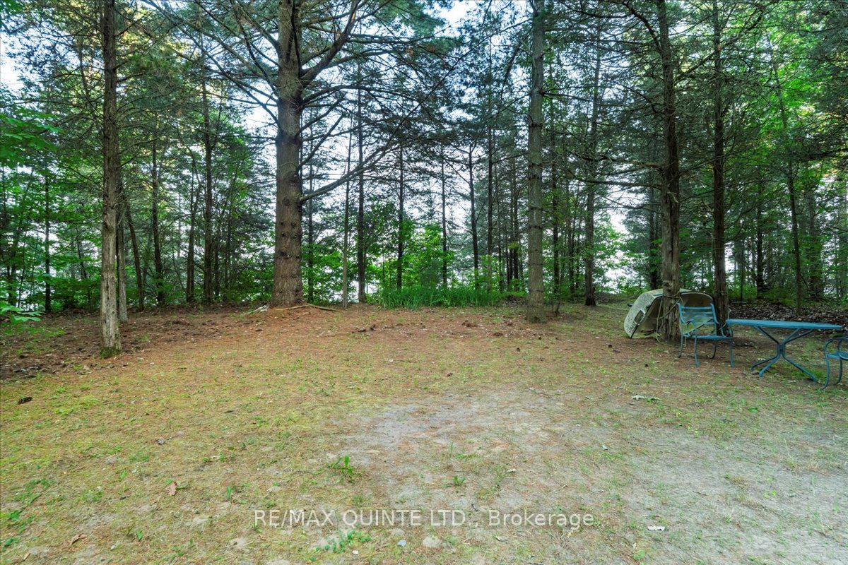 102 Dorenberg Lane Property Photo 8