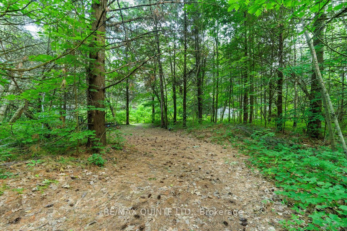 102 Dorenberg Lane Property Photo 23