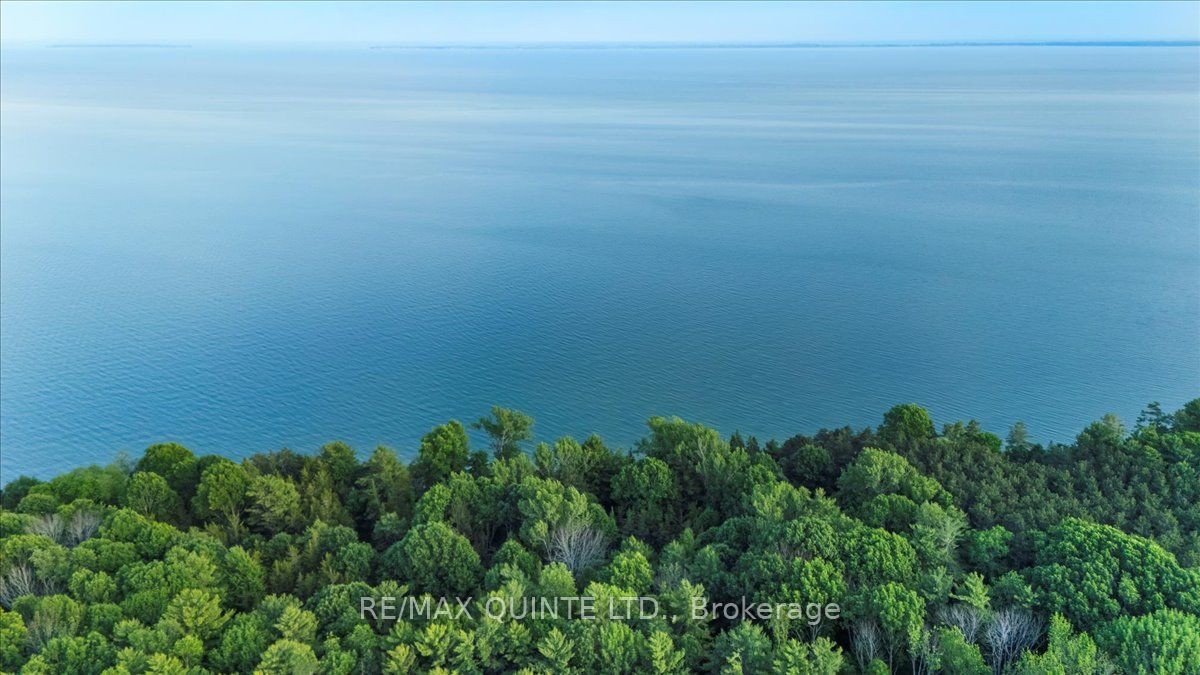 102 Dorenberg Lane Property Photo 25