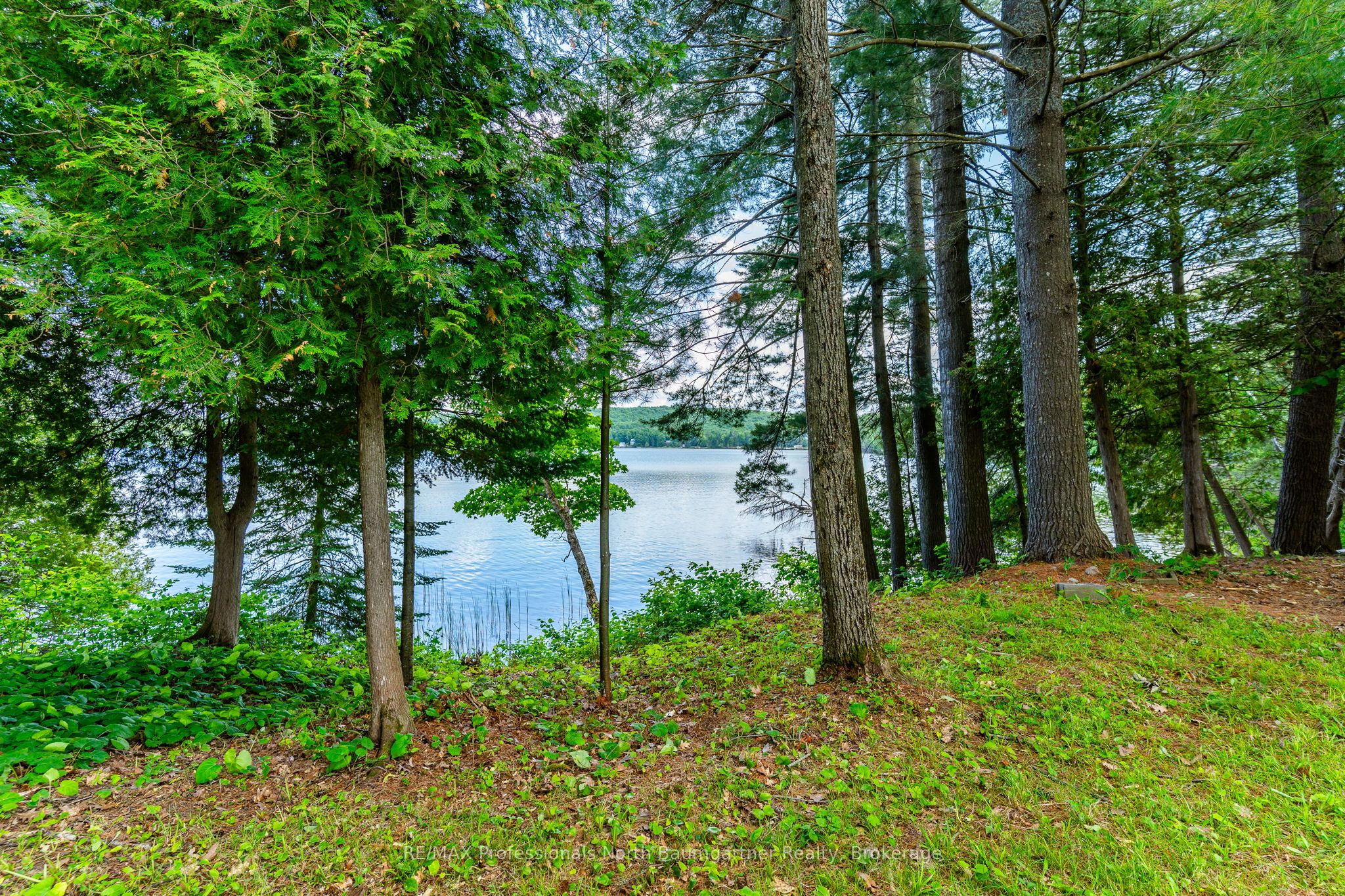 1230 North Shore Road Property Photo 6