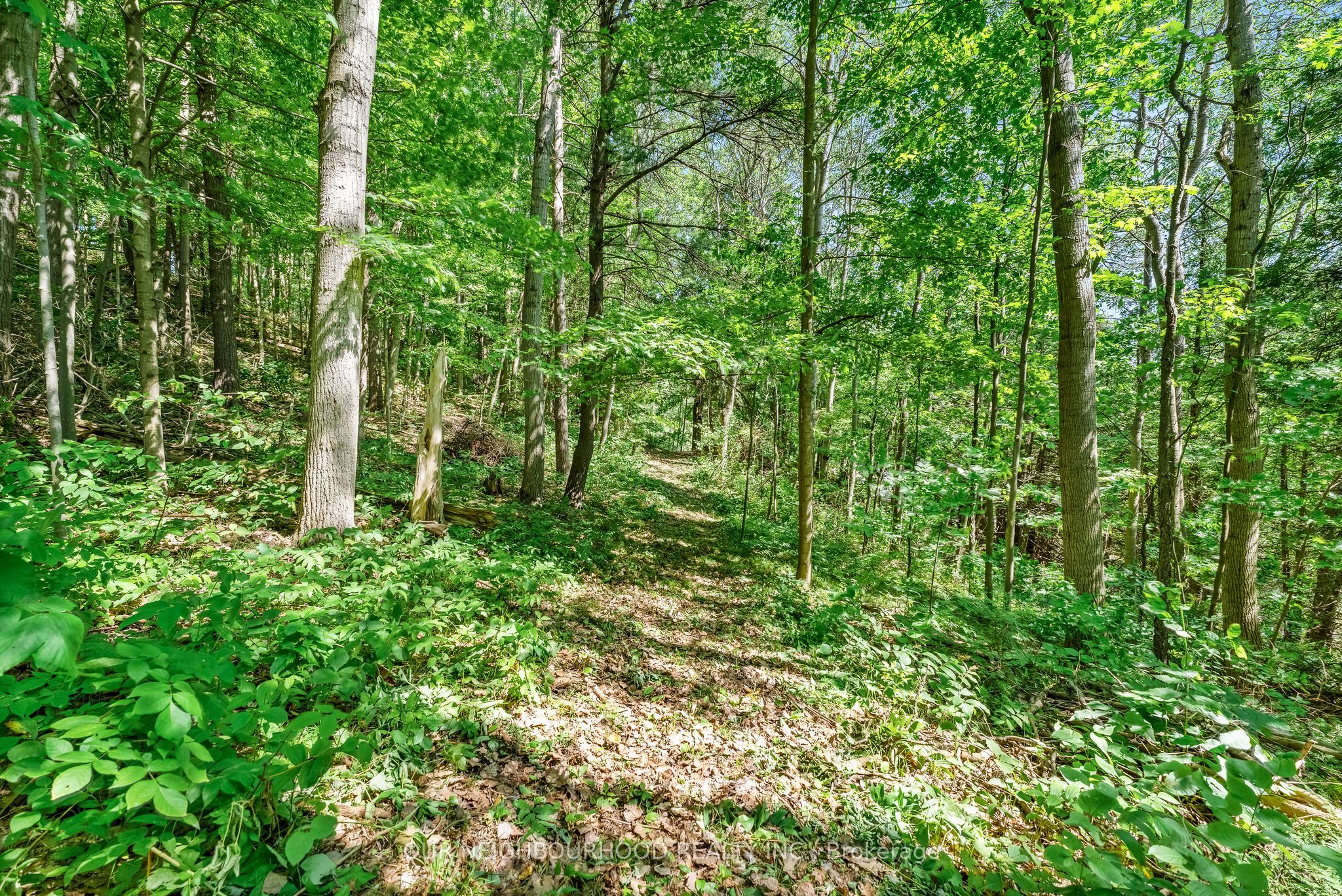 0 Shelter Valley (part 1) Road Property Photo 1