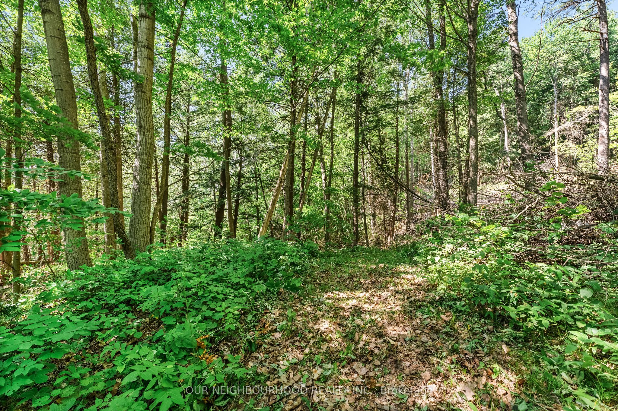 0 Shelter Valley (part 2) Road Property Photo 3