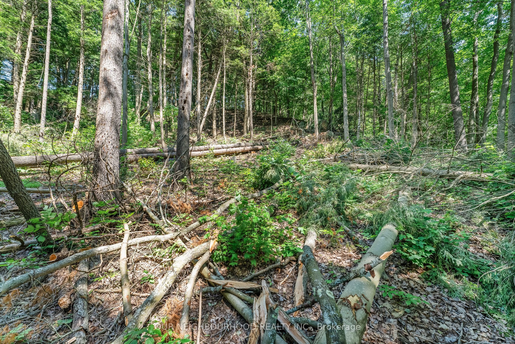 0 Shelter Valley (part 2) Road Property Photo 4