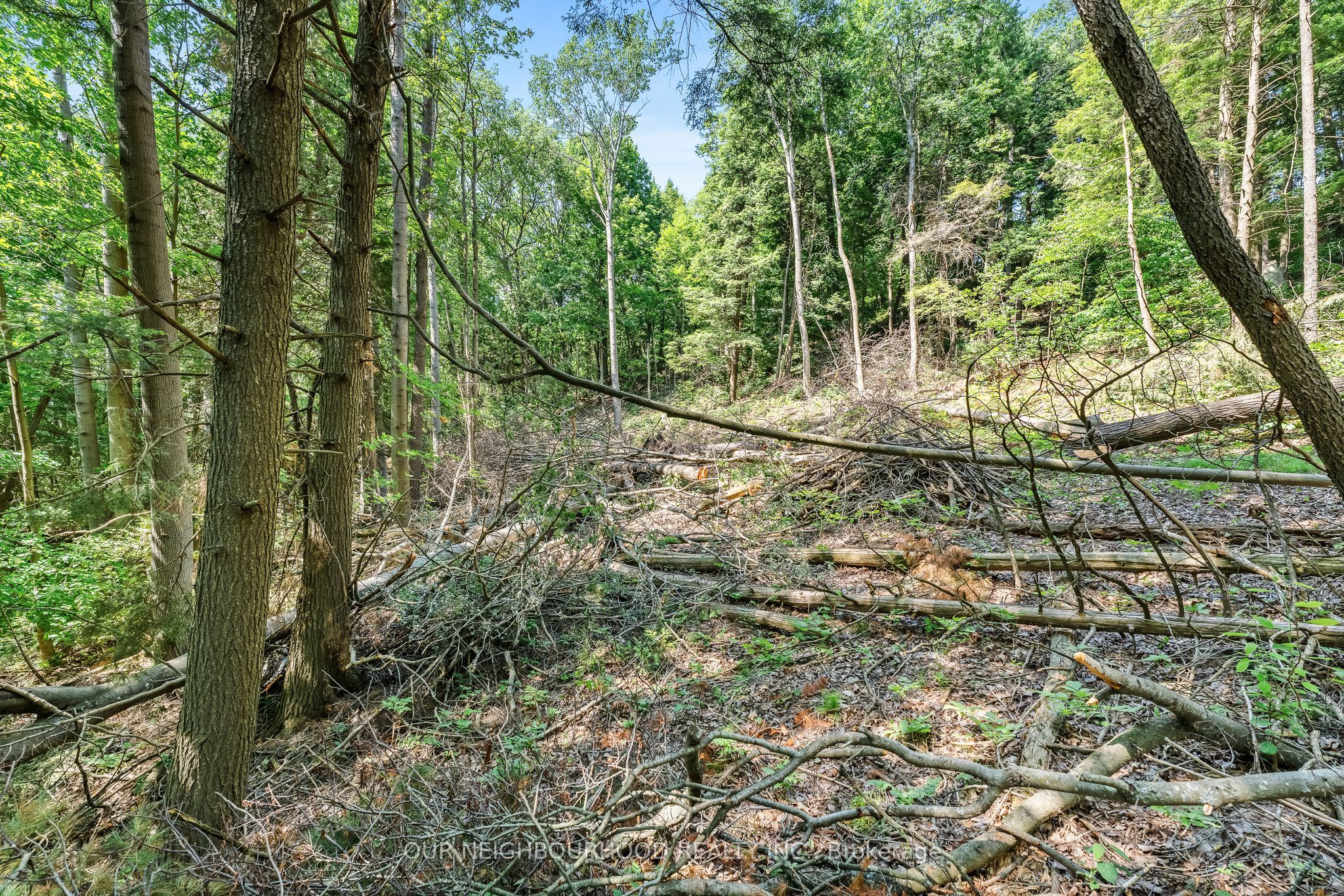 0 Shelter Valley (part 2) Road Property Photo 5