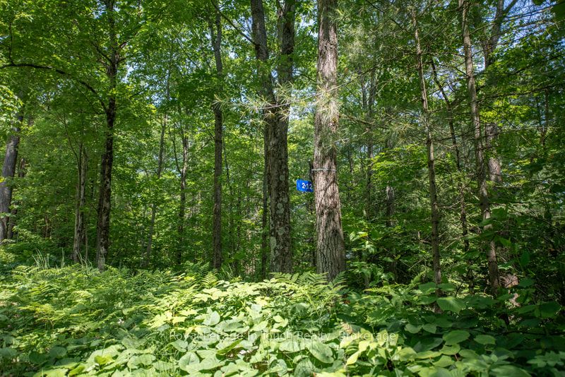 212 Wild Rice Trail Se Property Photo 14