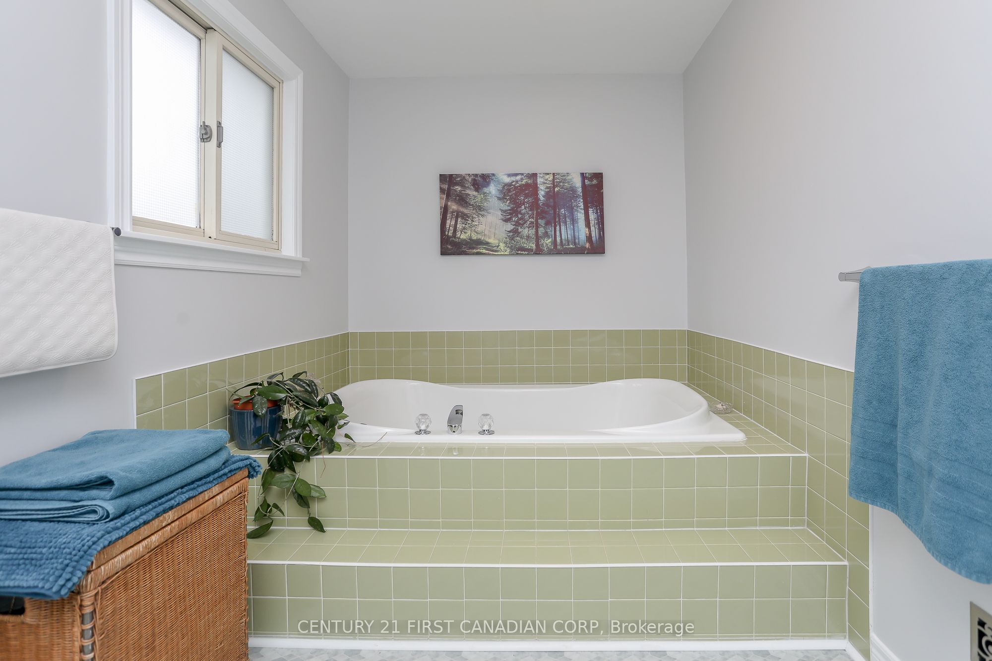 168 Forest Avenue Property Photo 19