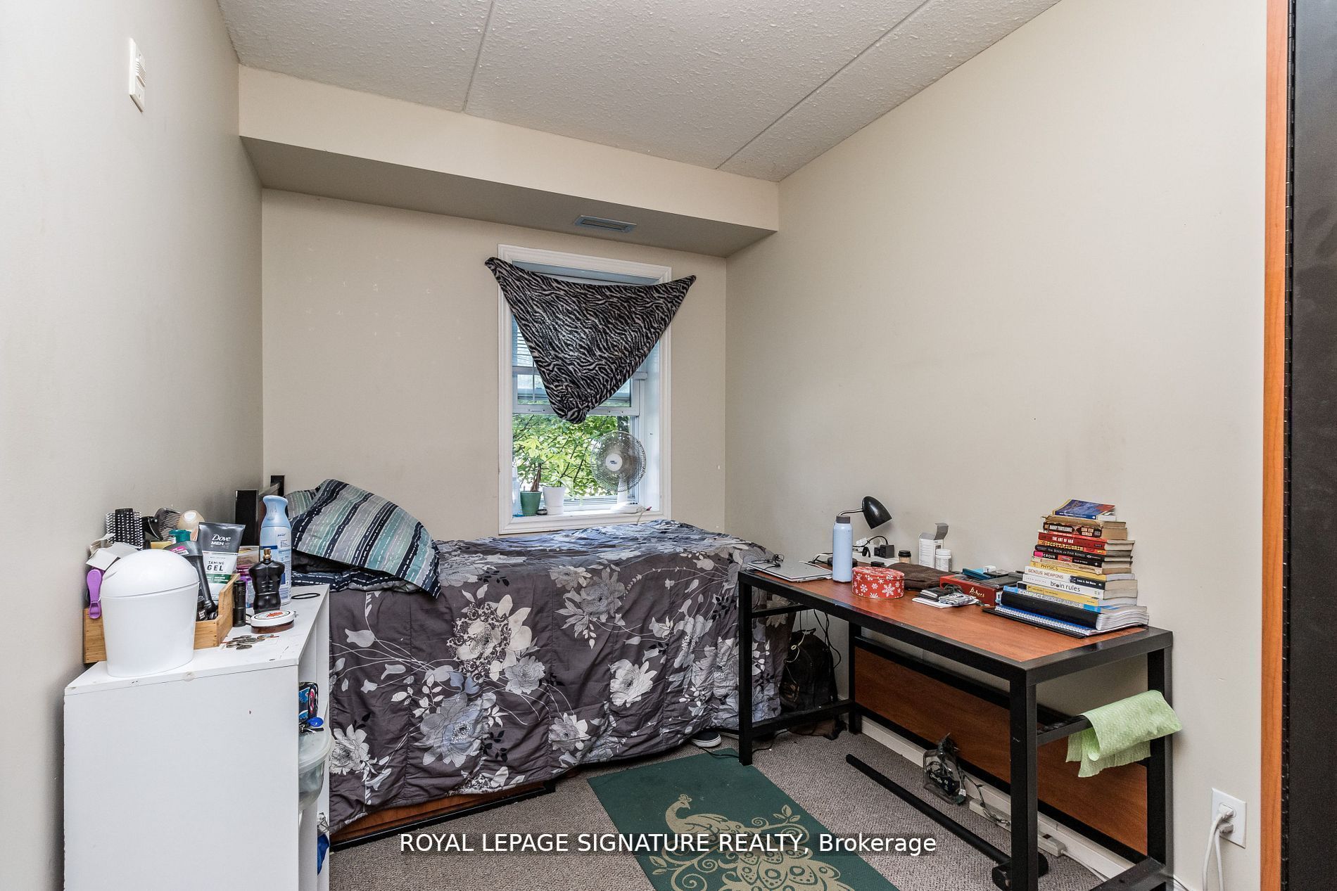 253 Lester Street 101 Property Photo 14