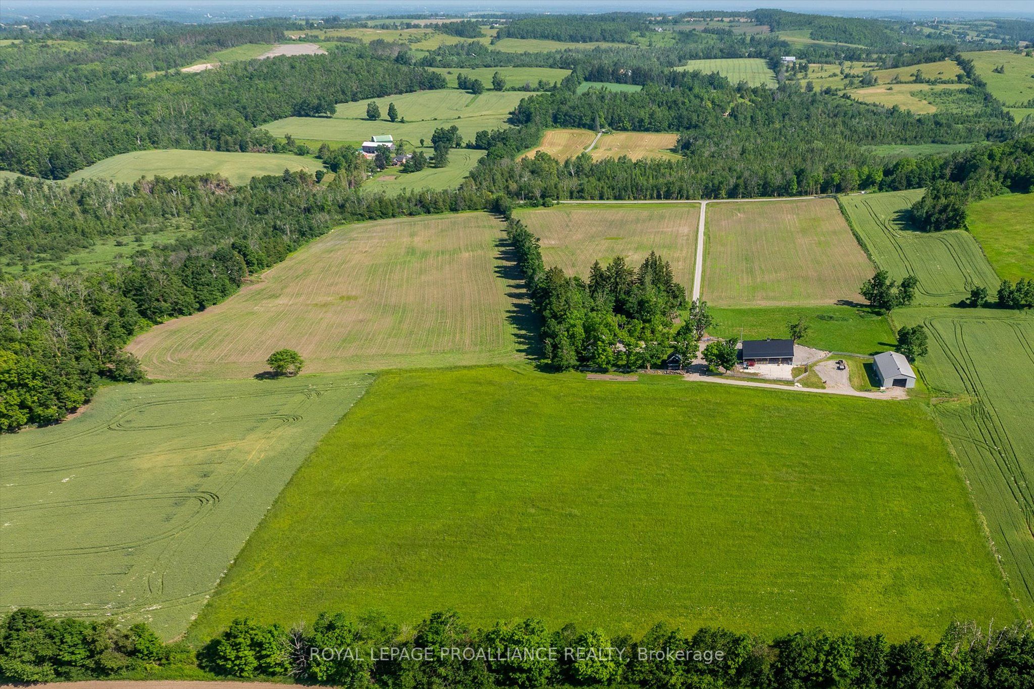 831 Bland Line Property Photo 6