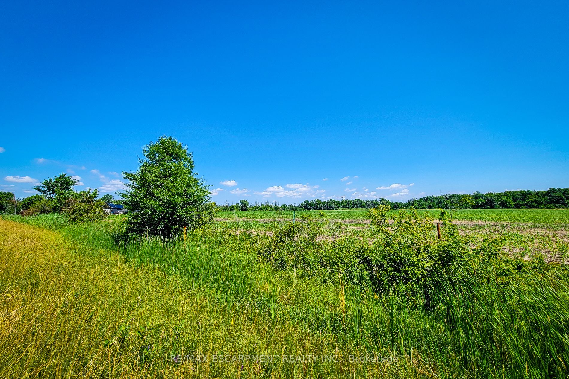 1615 North Shore Drive Property Photo 3