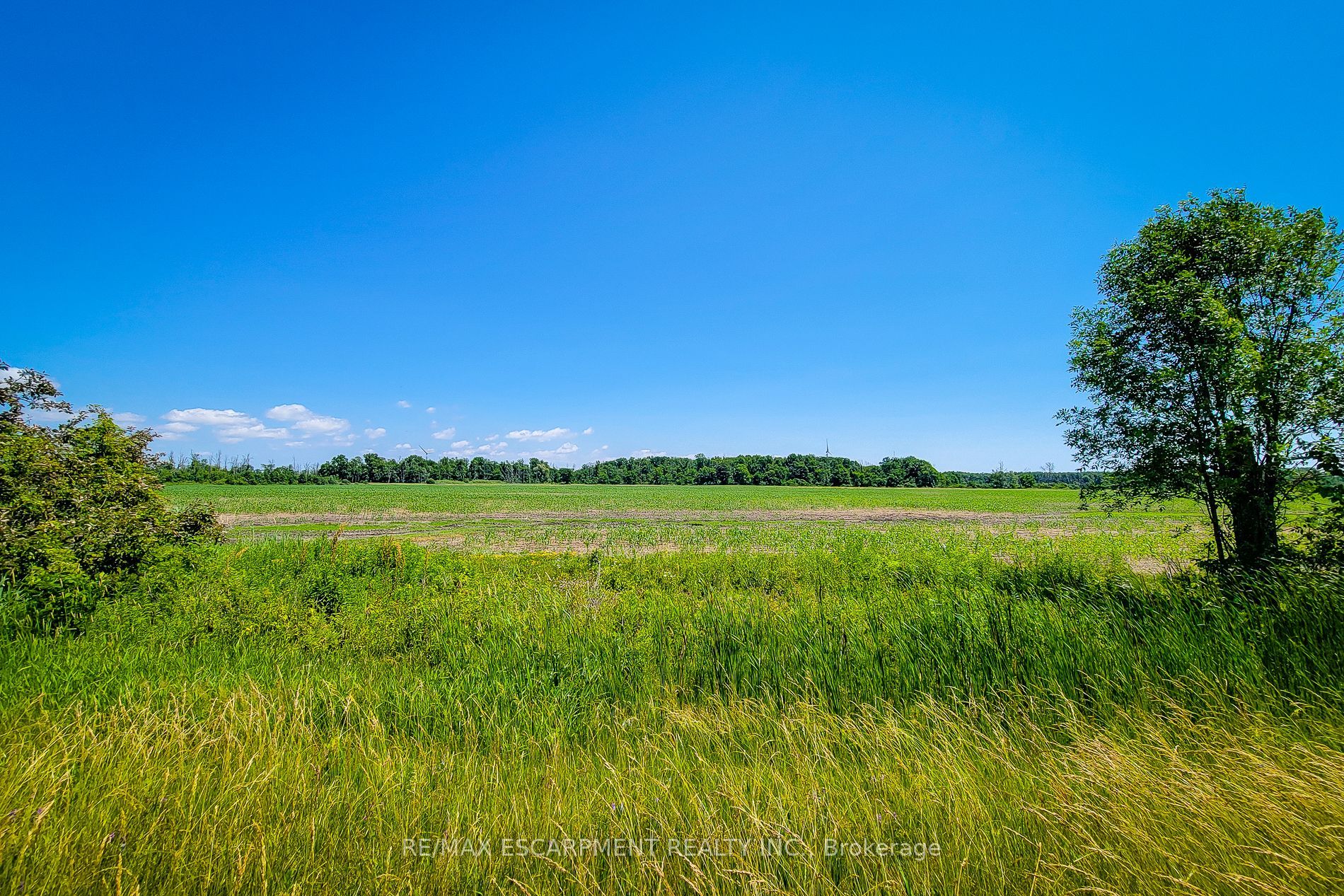 1615 North Shore Drive Property Photo 4