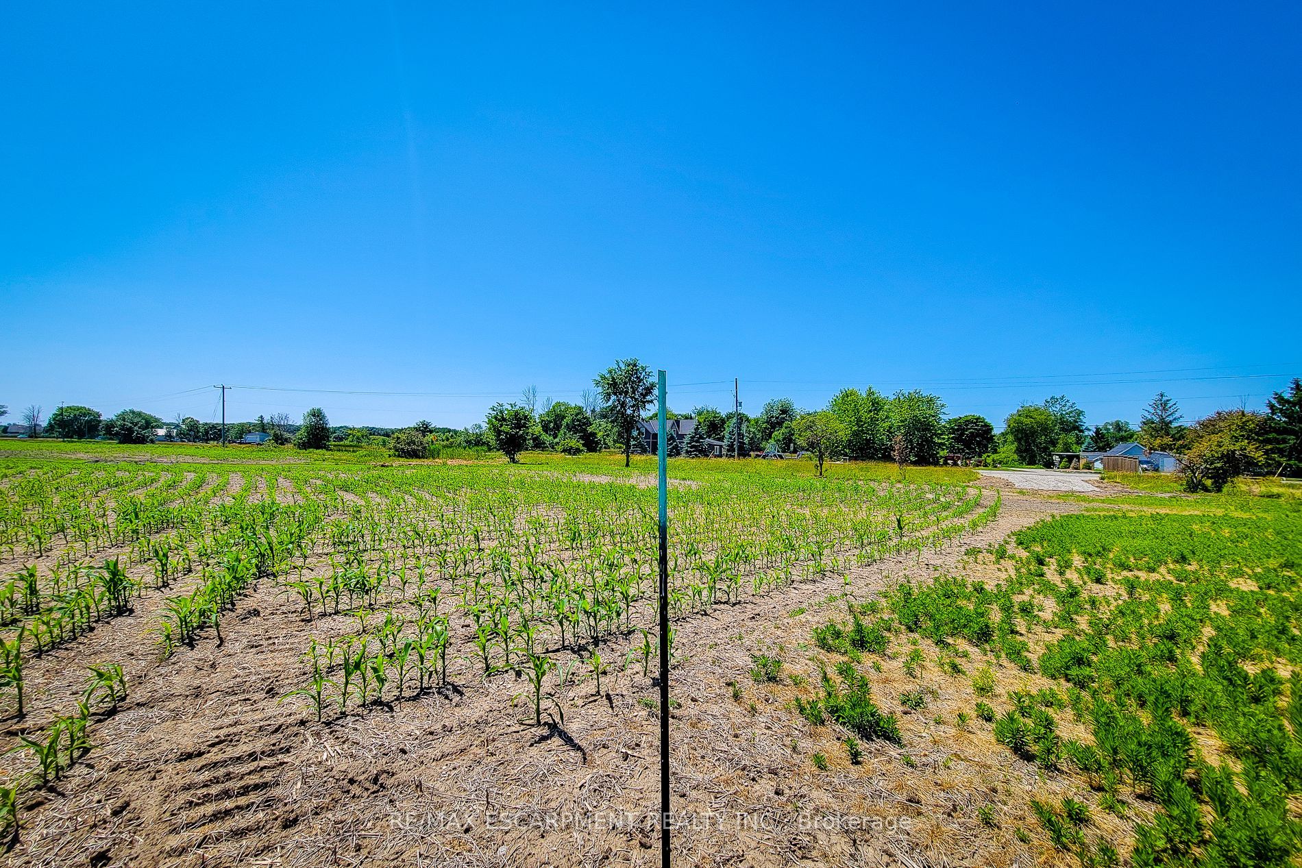 1615 North Shore Drive Property Photo 6