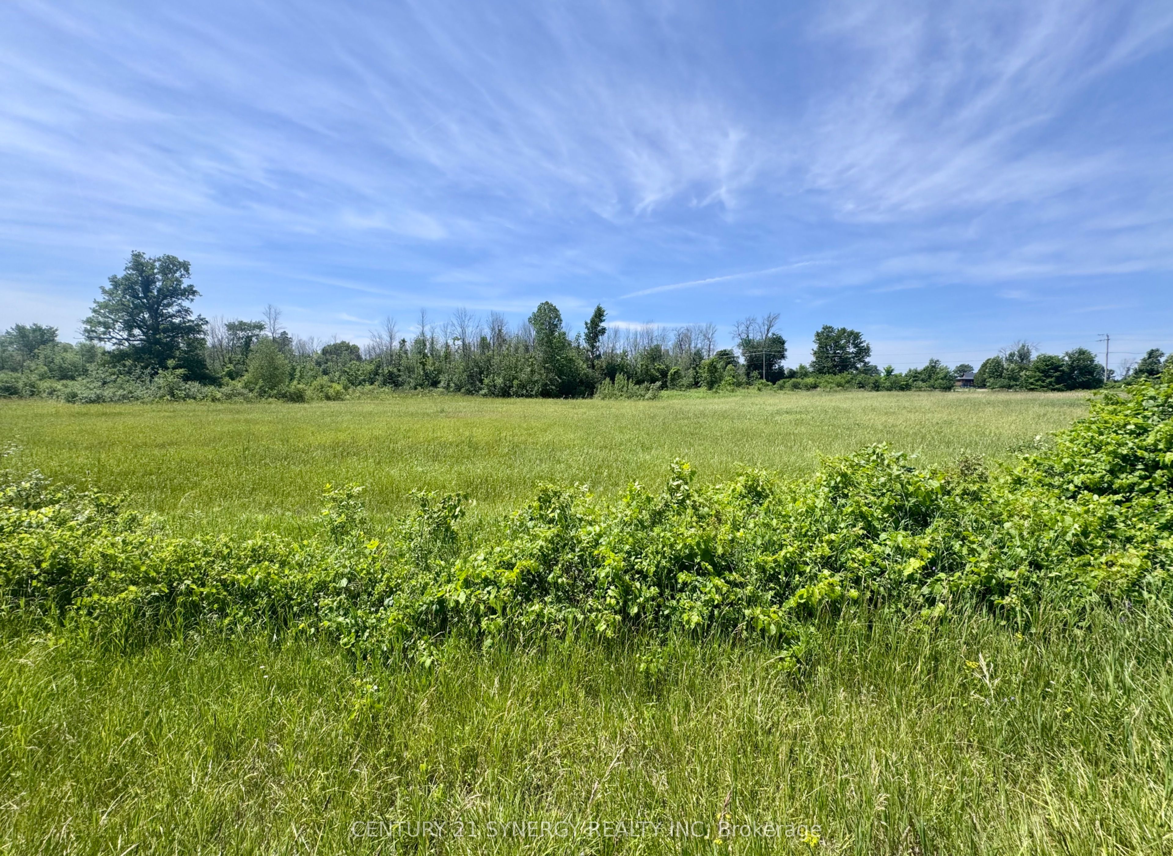 00 County Road 8 Road Property Photo 1