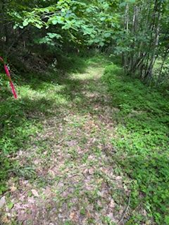 1085 Old Mine Road Property Photo 2