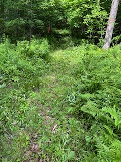 1085 Old Mine Road Property Photo 3