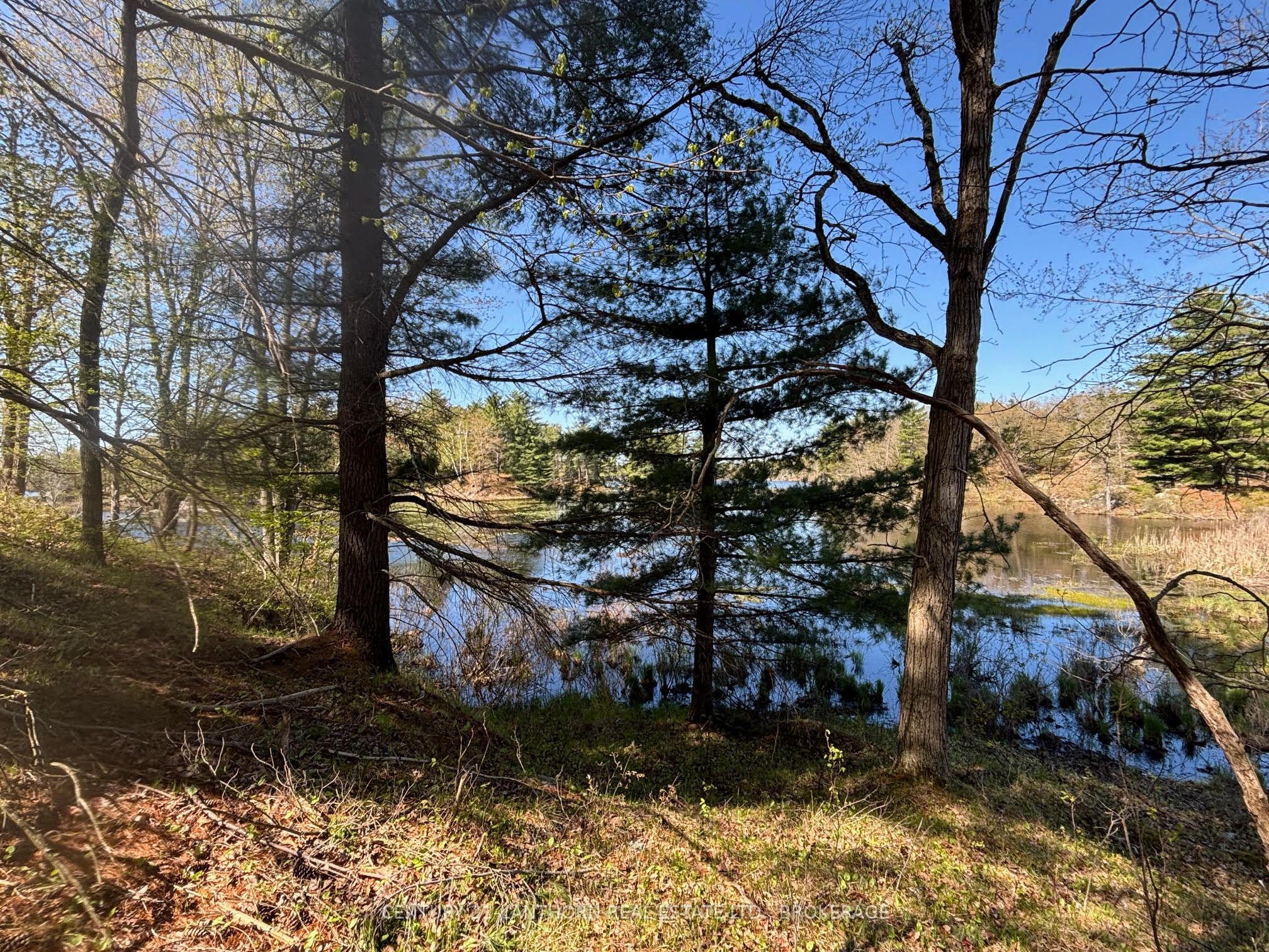 1085 Old Mine Road Property Photo 4