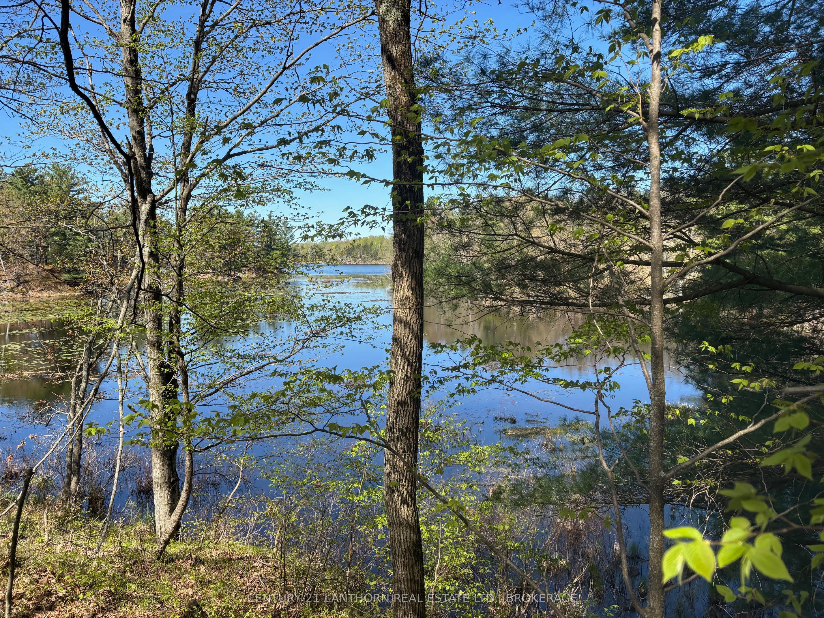 1085 Old Mine Road Property Photo 6