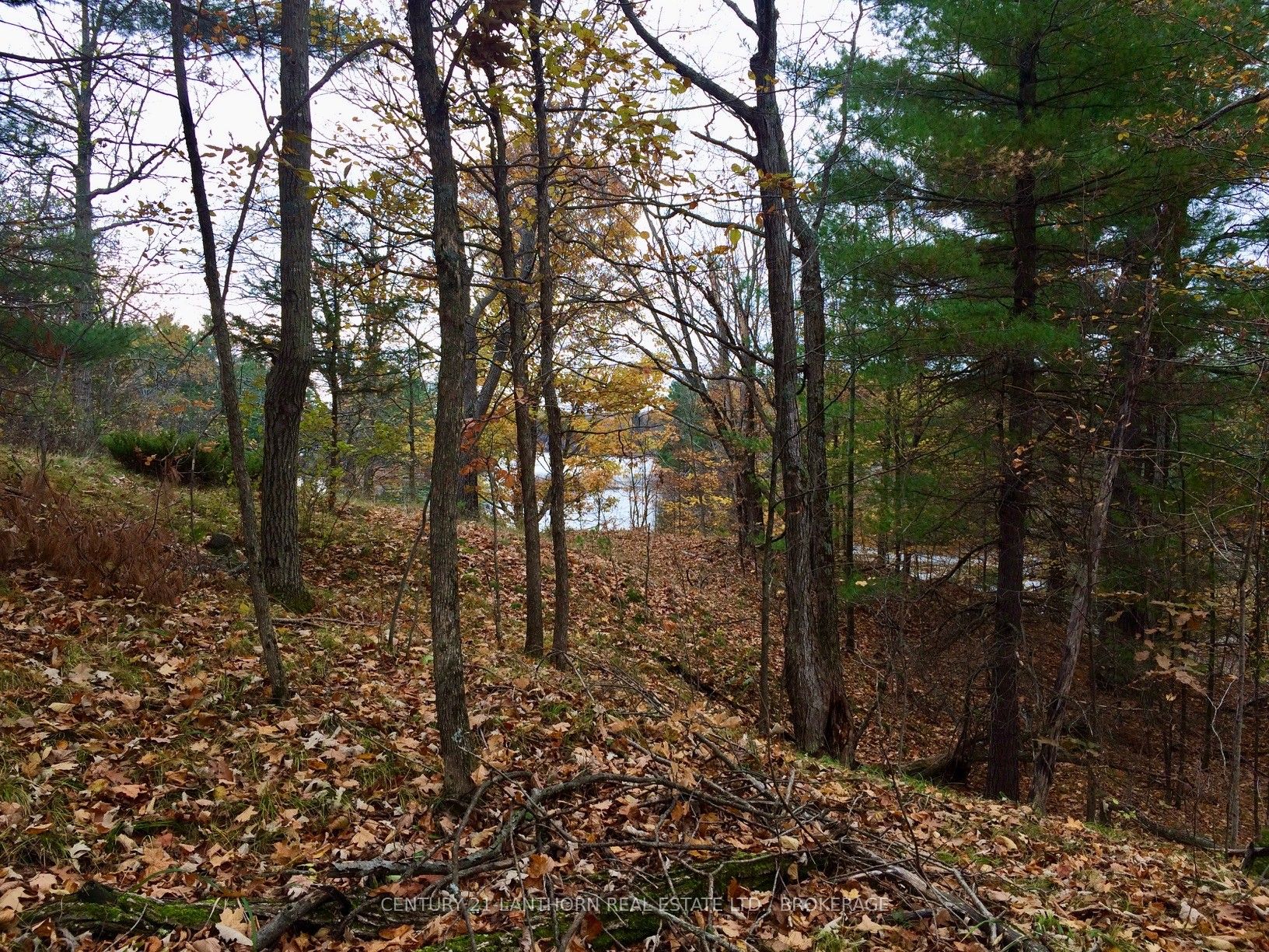 1085 Old Mine Road Property Photo 7
