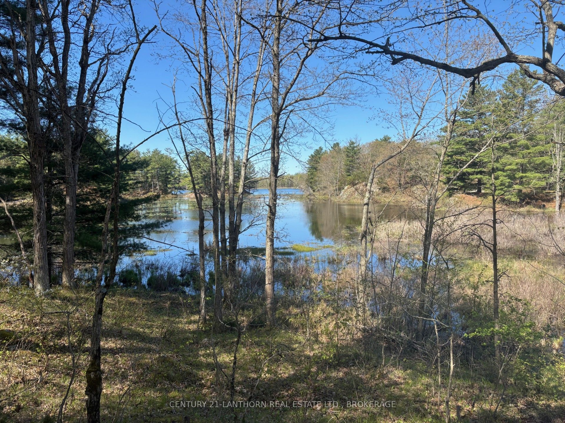 1085 Old Mine Road Property Photo 8