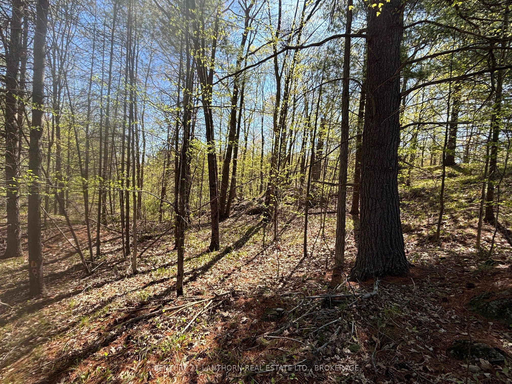 1085 Old Mine Road Property Photo 9
