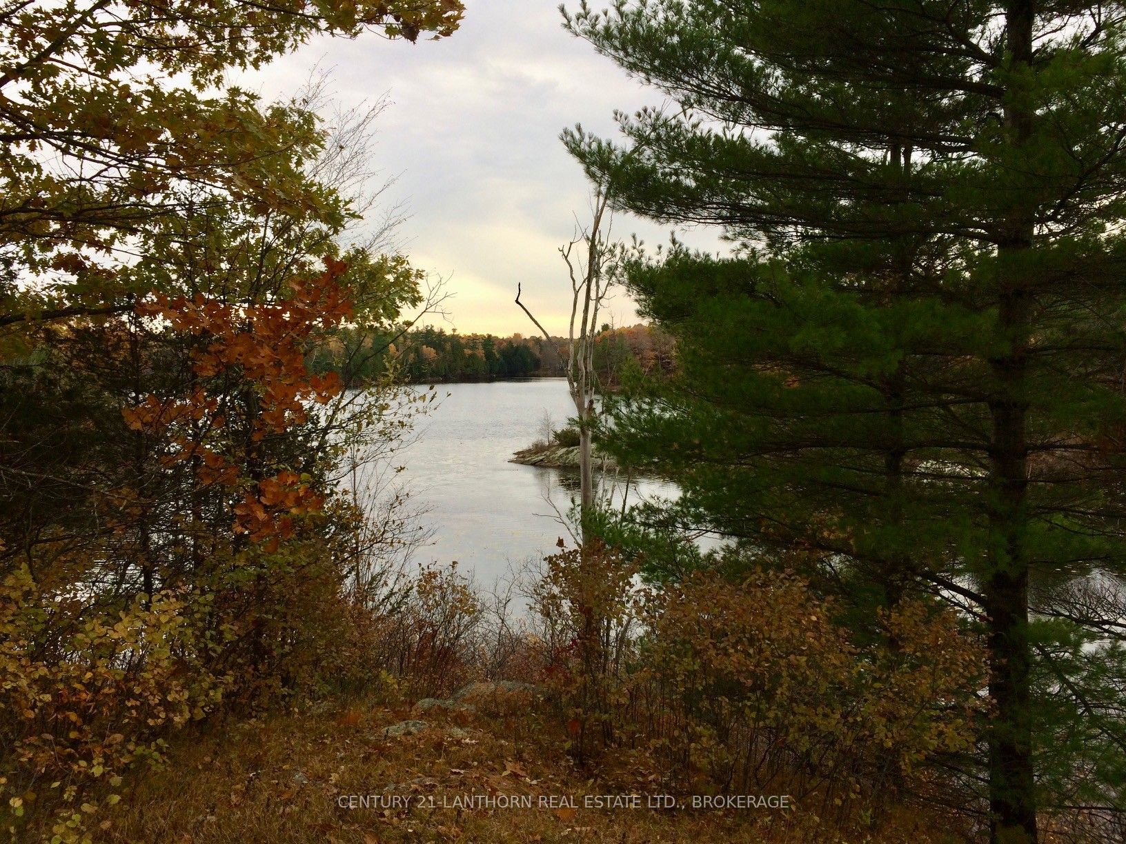 1085 Old Mine Road Property Photo 10