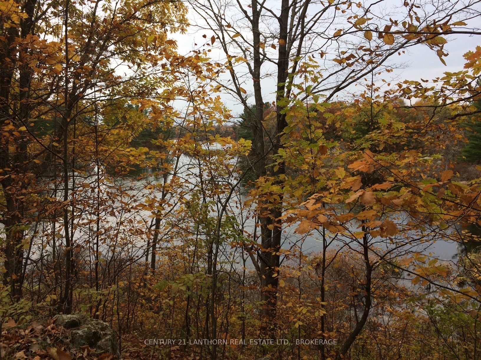 1085 Old Mine Road Property Photo 11